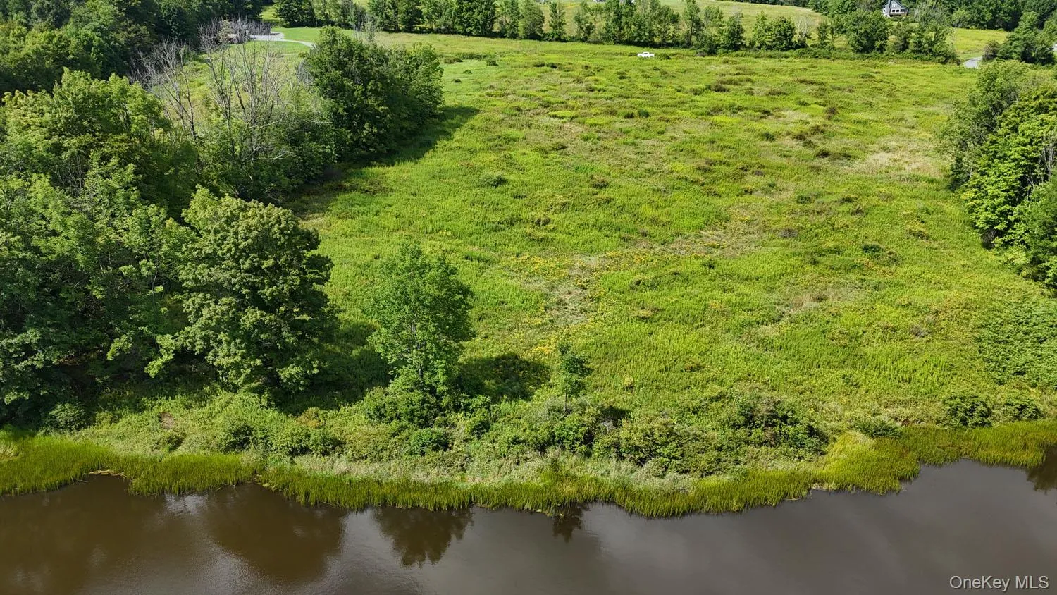 Waterfront Lot 15 Meadow Lane, Fremont, NY, ,Land,For Rent,Meadow,0,1038451 Waterfront Lot 15 Meadow Lane, Fremont, NY, ,Land,For Rent,Meadow,0,1038451