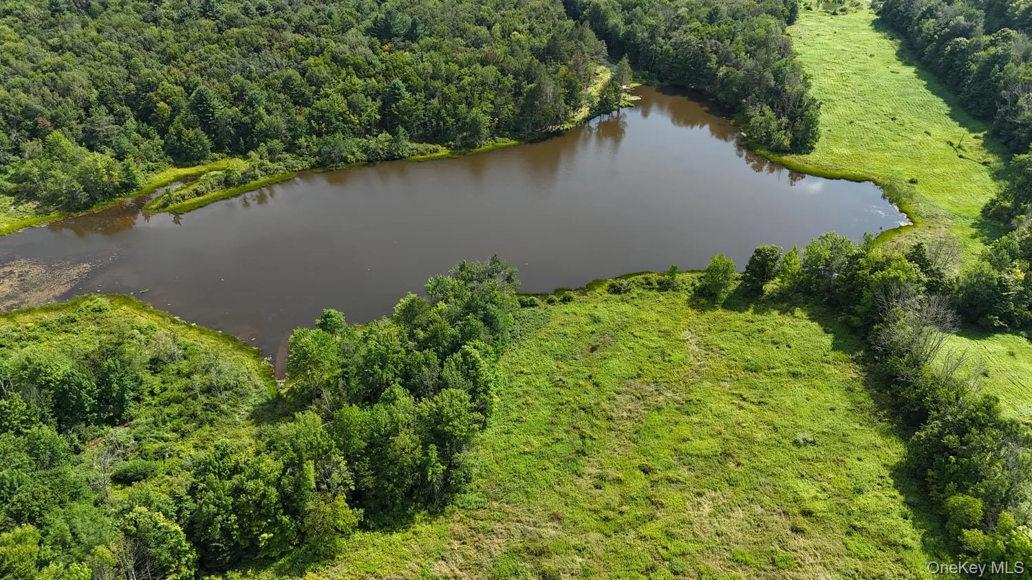 Waterfront Lot 15 Meadow Lane, Fremont, NY, ,Land,For Rent,Meadow,0,1038451 Waterfront Lot 15 Meadow Lane, Fremont, NY, ,Land,For Rent,Meadow,0,1038451