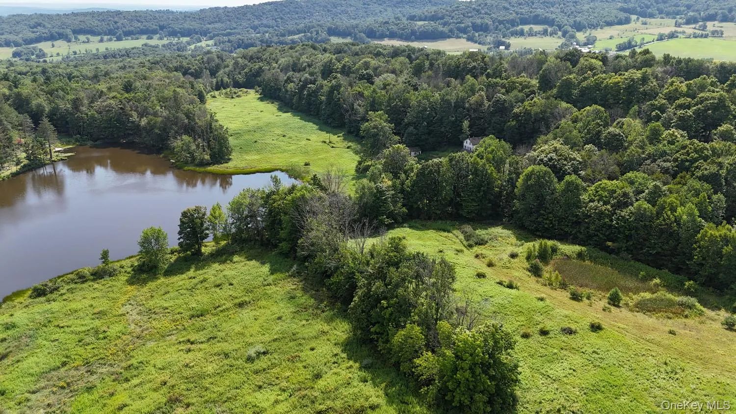 Waterfront Lot 15 Meadow Lane, Fremont, NY, ,Land,For Rent,Meadow,0,1038451 Waterfront Lot 15 Meadow Lane, Fremont, NY, ,Land,For Rent,Meadow,0,1038451