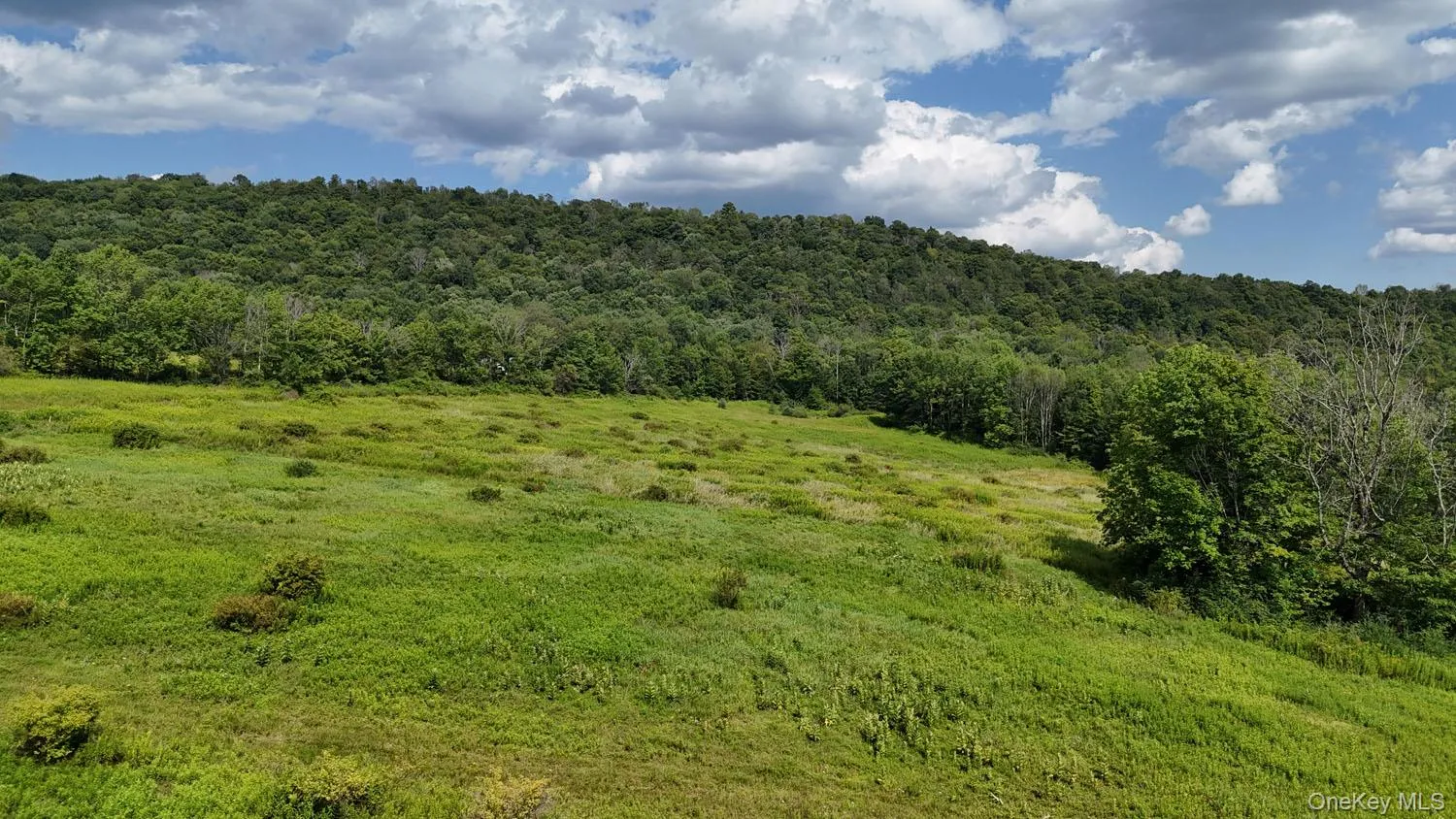 Waterfront Lot 15 Meadow Lane, Fremont, NY, ,Land,For Rent,Meadow,0,1038451 Waterfront Lot 15 Meadow Lane, Fremont, NY, ,Land,For Rent,Meadow,0,1038451