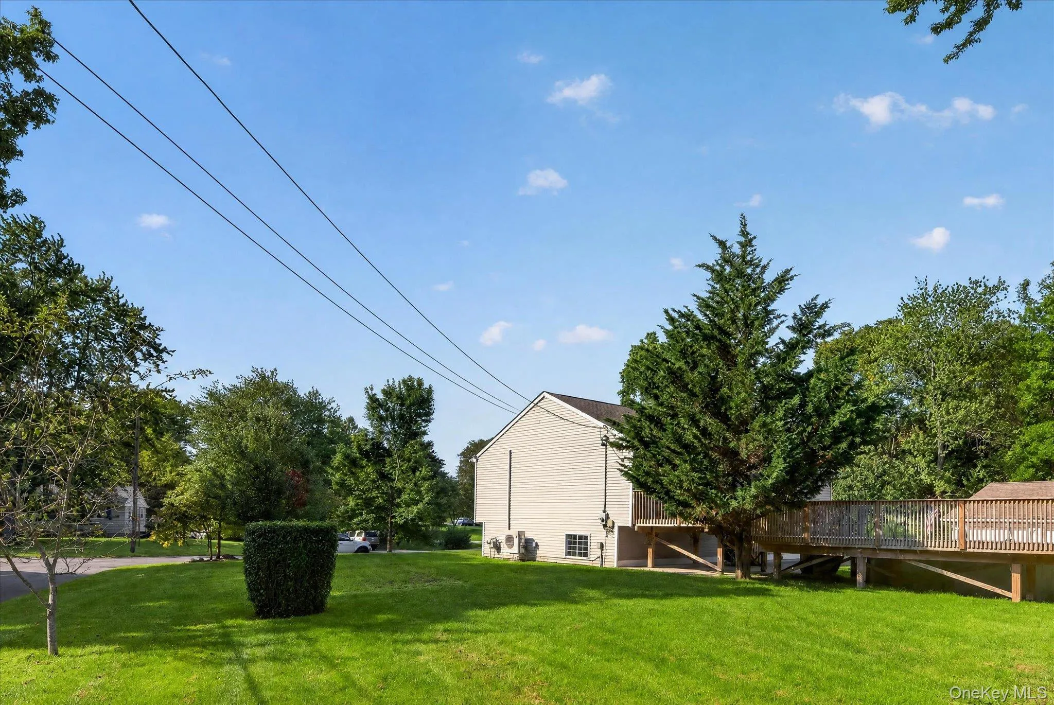 Expansive lawn with mature trees, elevated wood deck, and wood-sided shed Expansive lawn with mature trees, elevated wood deck, and wood-sided shed