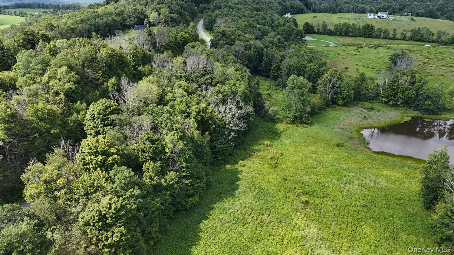 Waterfront Lot 14 Meadow Lane, Fremont, NY, ,Land,For Rent,Meadow,0,1038485 Waterfront Lot 14 Meadow Lane, Fremont, NY, ,Land,For Rent,Meadow,0,1038485