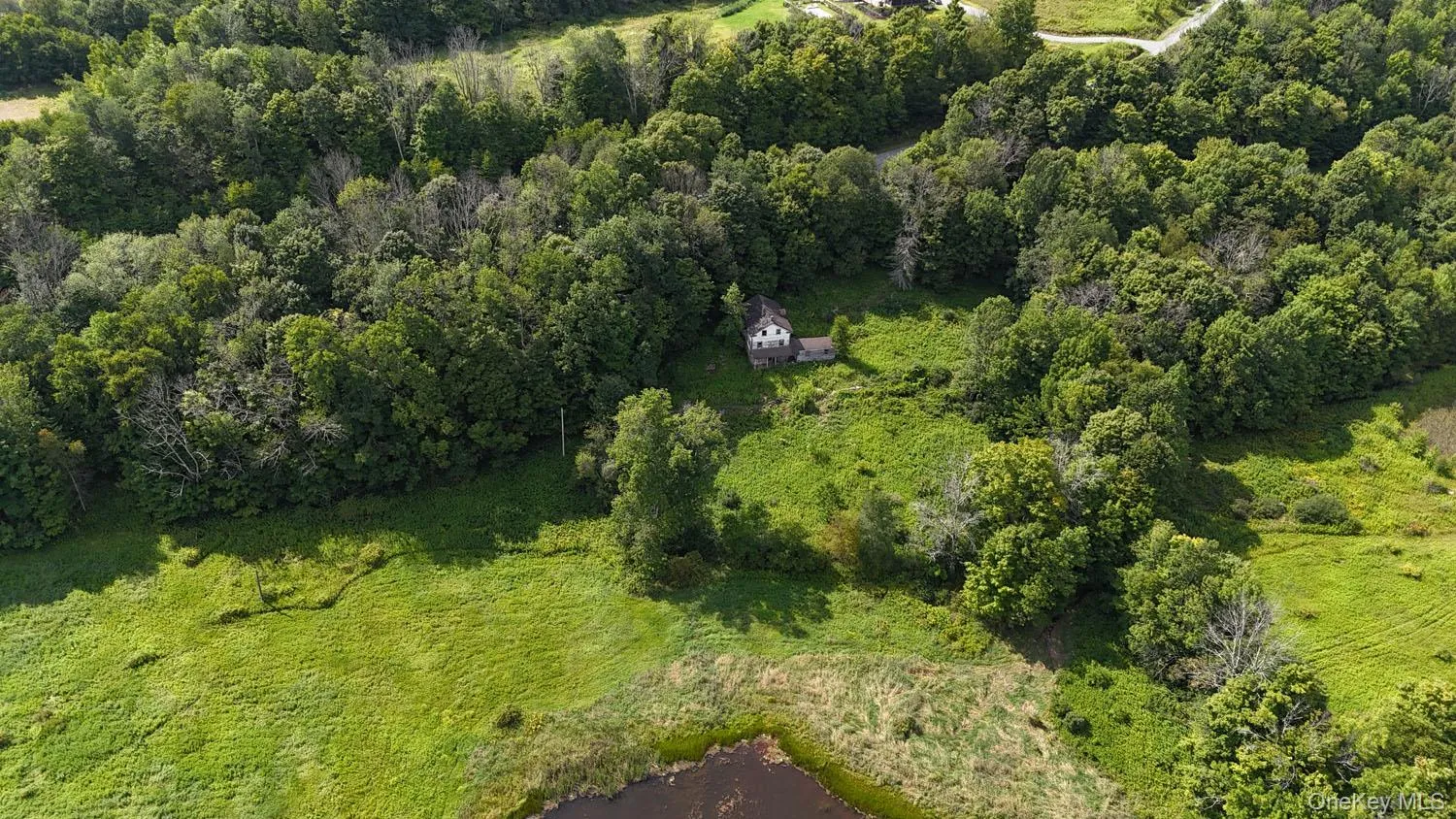 Waterfront Lot 14 Meadow Lane, Fremont, NY, ,Land,For Rent,Meadow,0,1038485 Waterfront Lot 14 Meadow Lane, Fremont, NY, ,Land,For Rent,Meadow,0,1038485
