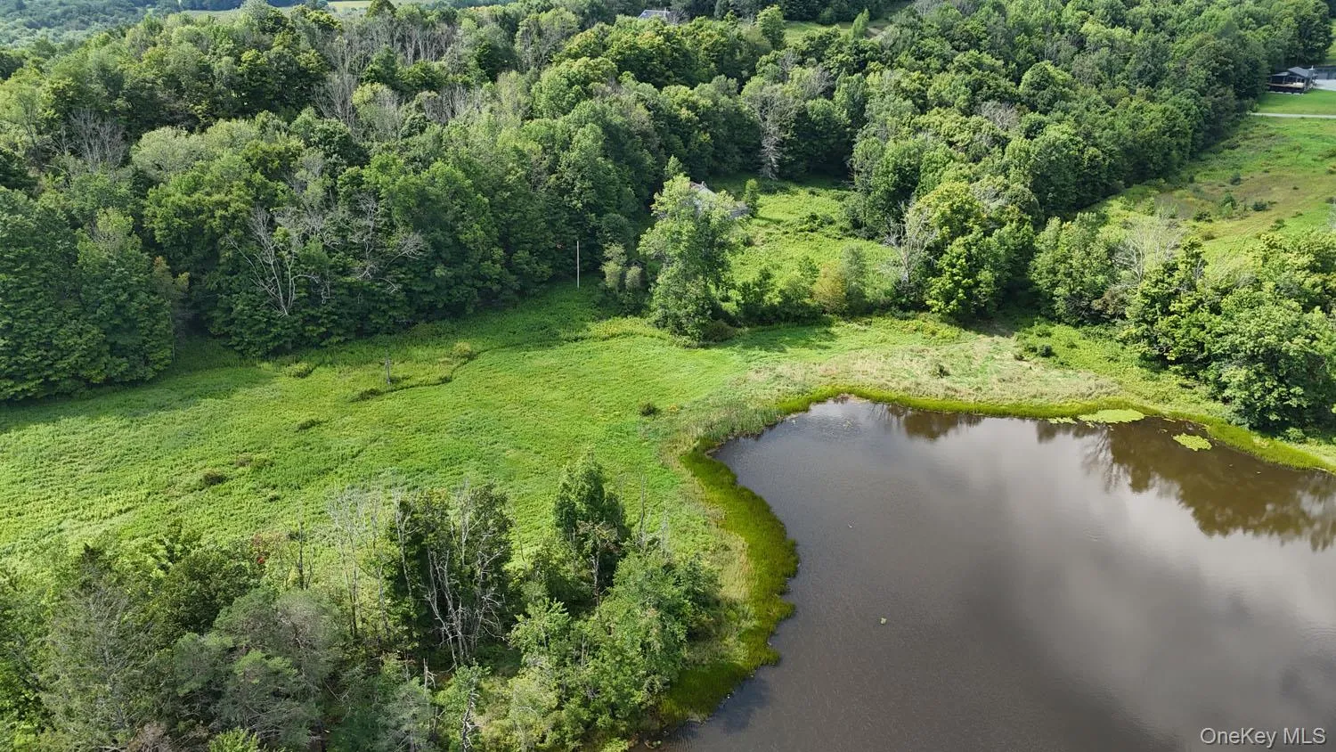 Waterfront Lot 14 Meadow Lane, Fremont, NY, ,Land,For Rent,Meadow,0,1038485 Waterfront Lot 14 Meadow Lane, Fremont, NY, ,Land,For Rent,Meadow,0,1038485