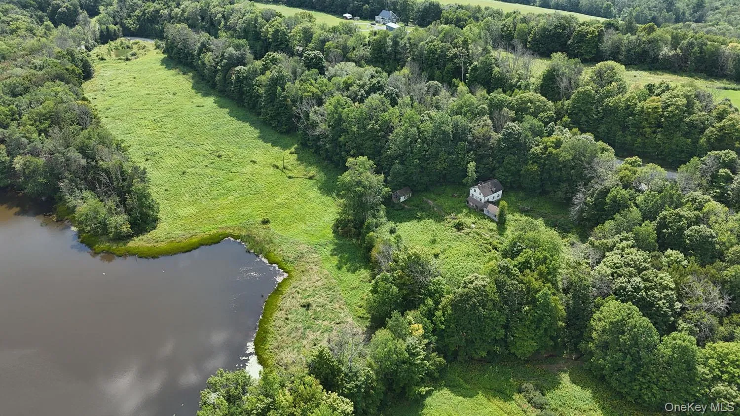 Waterfront Lot 14 Meadow Lane, Fremont, NY, ,Land,For Rent,Meadow,0,1038485 Waterfront Lot 14 Meadow Lane, Fremont, NY, ,Land,For Rent,Meadow,0,1038485