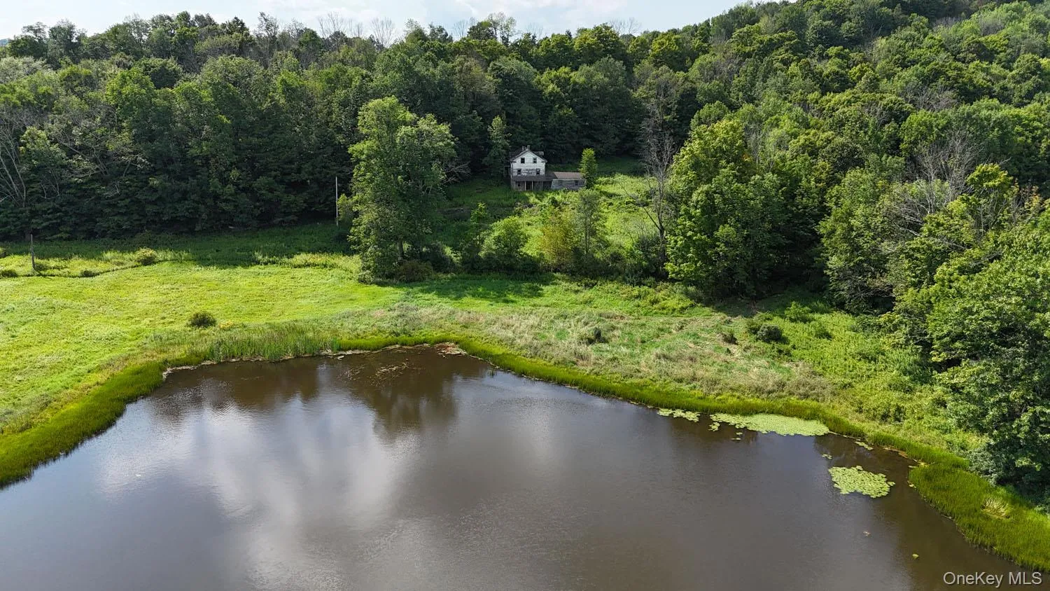 Waterfront Lot 14 Meadow Lane, Fremont, NY, ,Land,For Rent,Meadow,0,1038485 Waterfront Lot 14 Meadow Lane, Fremont, NY, ,Land,For Rent,Meadow,0,1038485