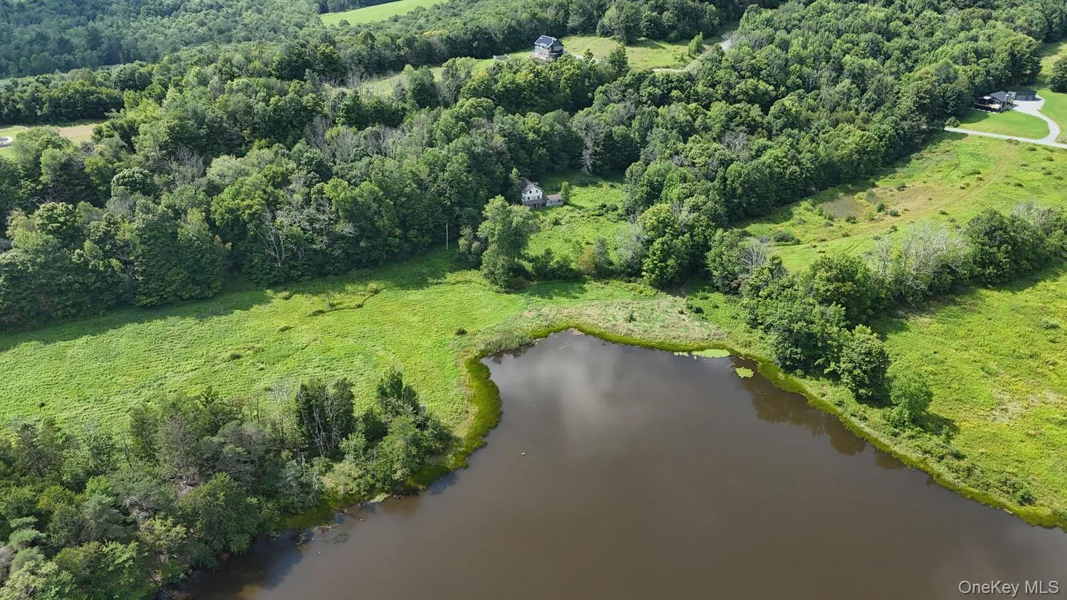 Waterfront Lot 14 Meadow Lane, Fremont, NY, ,Land,For Rent,Meadow,0,1038485 Waterfront Lot 14 Meadow Lane, Fremont, NY, ,Land,For Rent,Meadow,0,1038485