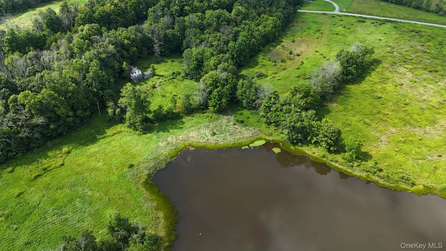Waterfront Lot 14 Meadow Lane, Fremont, NY, ,Land,For Rent,Meadow,0,1038485 Waterfront Lot 14 Meadow Lane, Fremont, NY, ,Land,For Rent,Meadow,0,1038485