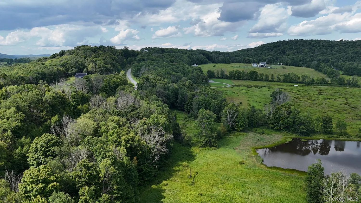 Waterfront Lot 14 Meadow Lane, Fremont, NY, ,Land,For Rent,Meadow,0,1038485 Waterfront Lot 14 Meadow Lane, Fremont, NY, ,Land,For Rent,Meadow,0,1038485