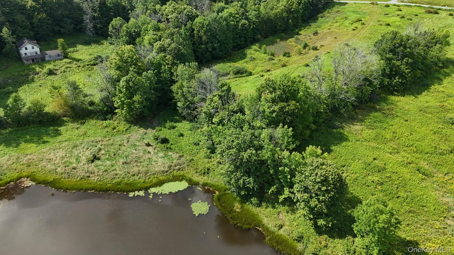 Waterfront Lot 14 Meadow Lane, Fremont, NY, ,Land,For Rent,Meadow,0,1038485 Waterfront Lot 14 Meadow Lane, Fremont, NY, ,Land,For Rent,Meadow,0,1038485