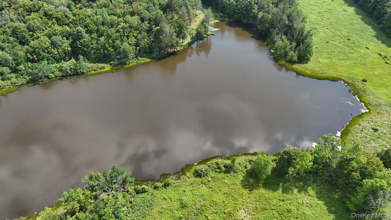 Waterfront Lot 14 Meadow Lane, Fremont, NY, ,Land,For Rent,Meadow,0,1038485 Waterfront Lot 14 Meadow Lane, Fremont, NY, ,Land,For Rent,Meadow,0,1038485