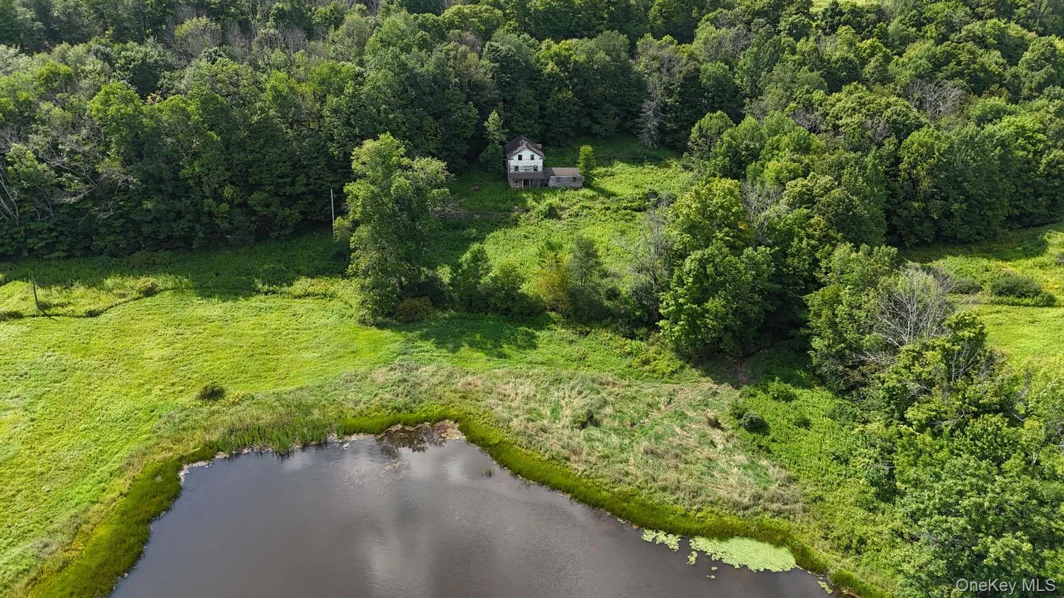 Waterfront Lot 14 Meadow Lane, Fremont, NY, ,Land,For Rent,Meadow,0,1038485 Waterfront Lot 14 Meadow Lane, Fremont, NY, ,Land,For Rent,Meadow,0,1038485