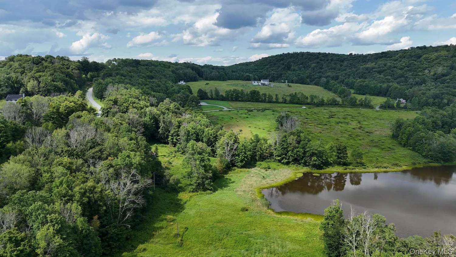Waterfront Lot 14 Meadow Lane, Fremont, NY, ,Land,For Rent,Meadow,0,1038485 Waterfront Lot 14 Meadow Lane, Fremont, NY, ,Land,For Rent,Meadow,0,1038485