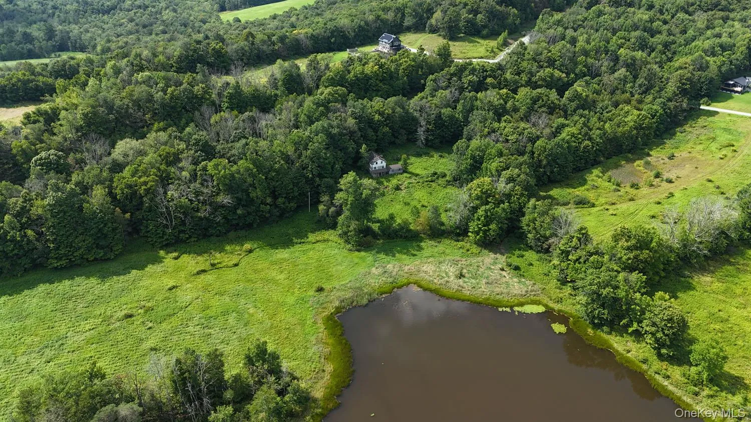 Waterfront Lot 14 Meadow Lane, Fremont, NY, ,Land,For Rent,Meadow,0,1038485 Waterfront Lot 14 Meadow Lane, Fremont, NY, ,Land,For Rent,Meadow,0,1038485