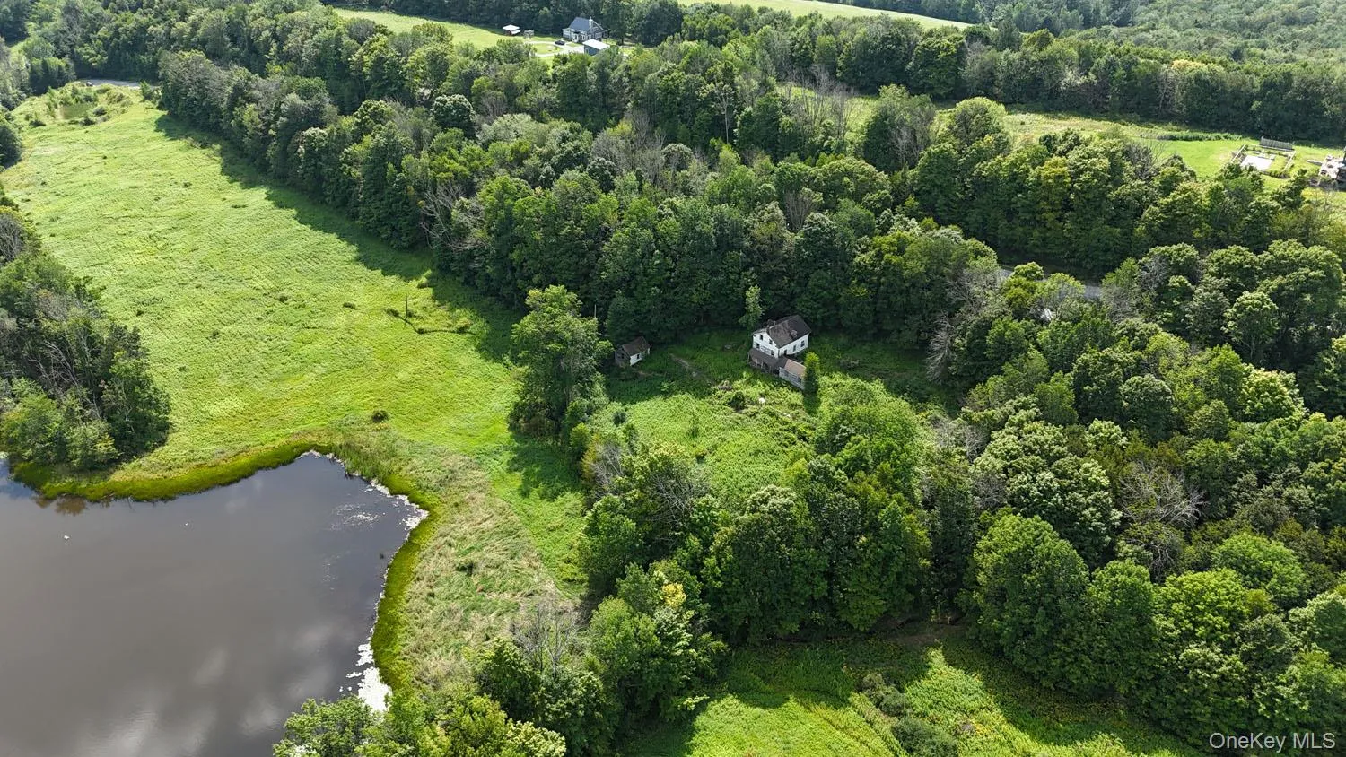 Waterfront Lot 14 Meadow Lane, Fremont, NY, ,Land,For Rent,Meadow,0,1038485 Waterfront Lot 14 Meadow Lane, Fremont, NY, ,Land,For Rent,Meadow,0,1038485