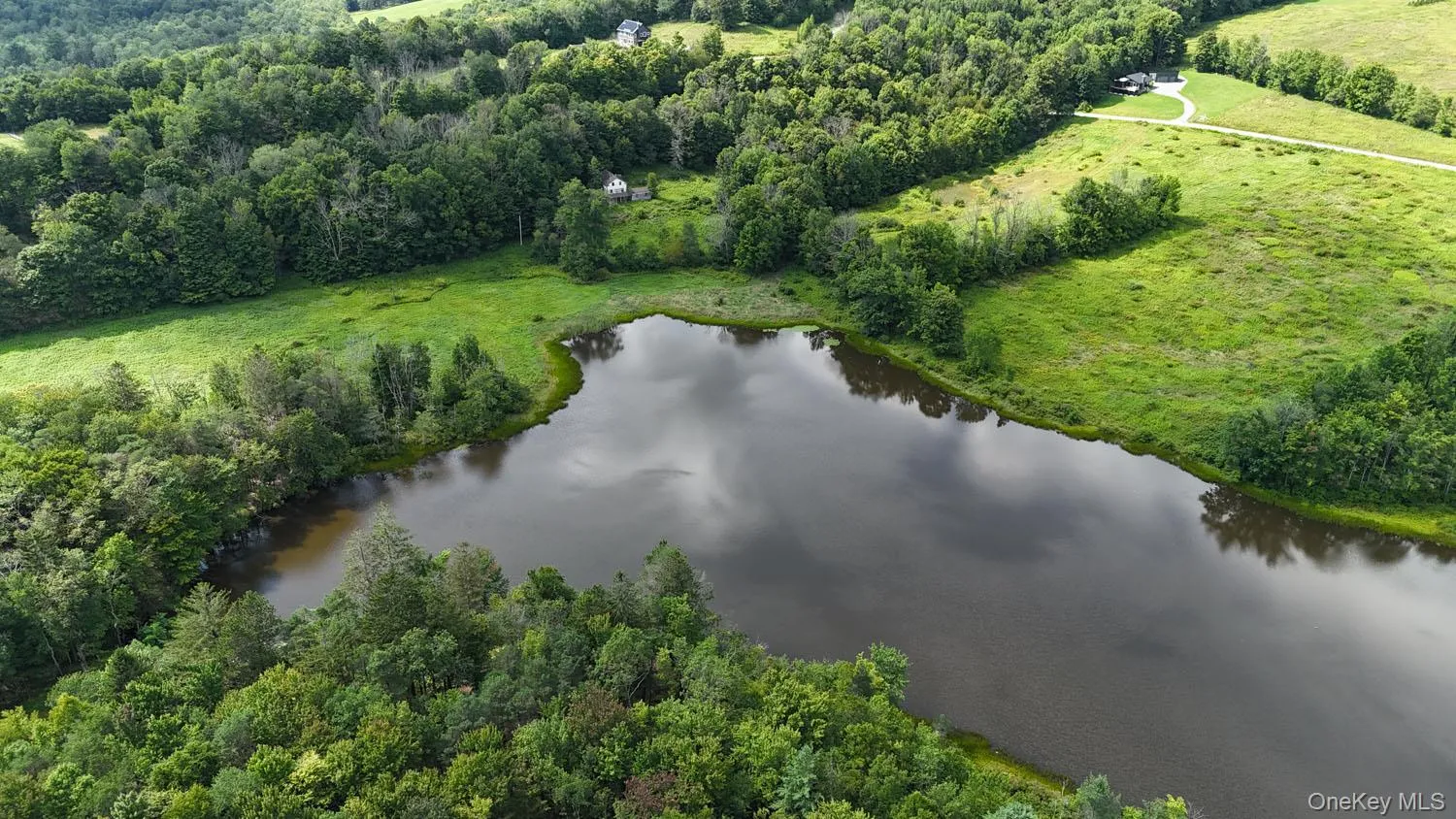 Waterfront Lot 14 Meadow Lane, Fremont, NY, ,Land,For Rent,Meadow,0,1038485 Waterfront Lot 14 Meadow Lane, Fremont, NY, ,Land,For Rent,Meadow,0,1038485