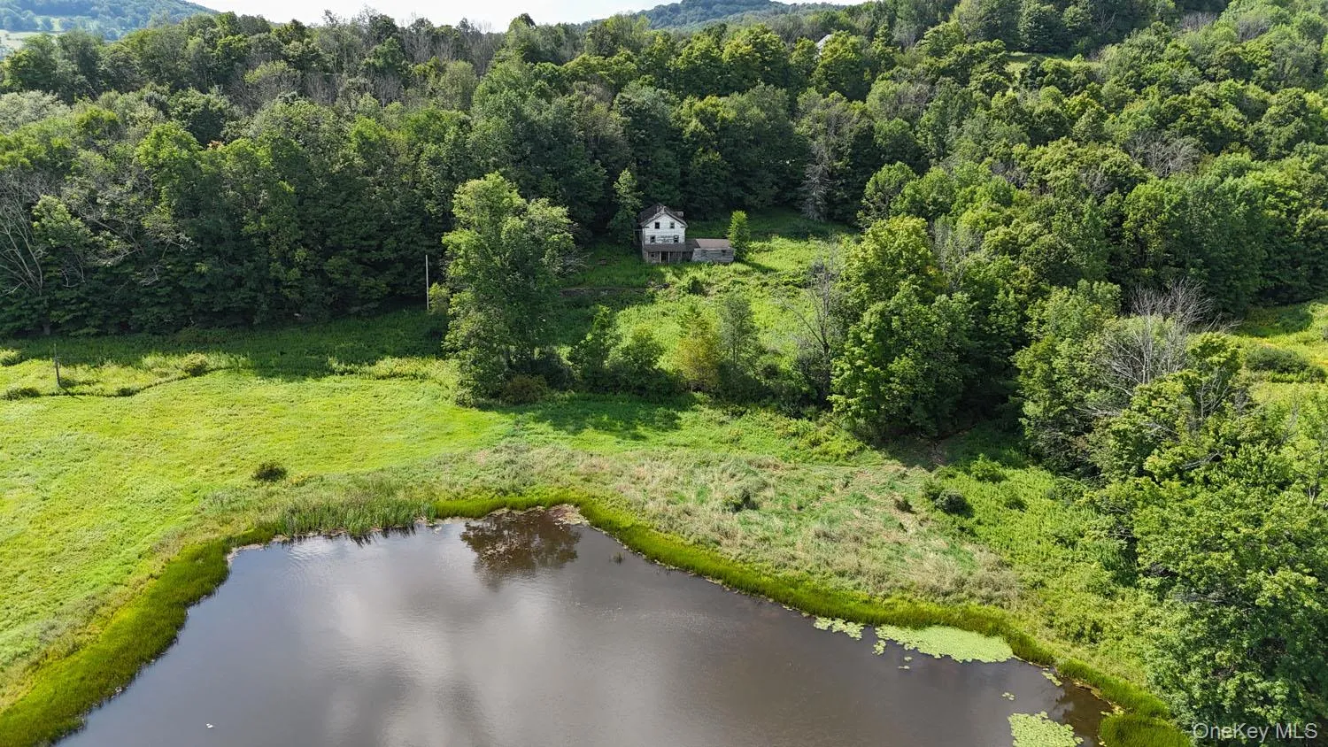 Waterfront Lot 14 Meadow Lane, Fremont, NY, ,Land,For Rent,Meadow,0,1038485 Waterfront Lot 14 Meadow Lane, Fremont, NY, ,Land,For Rent,Meadow,0,1038485