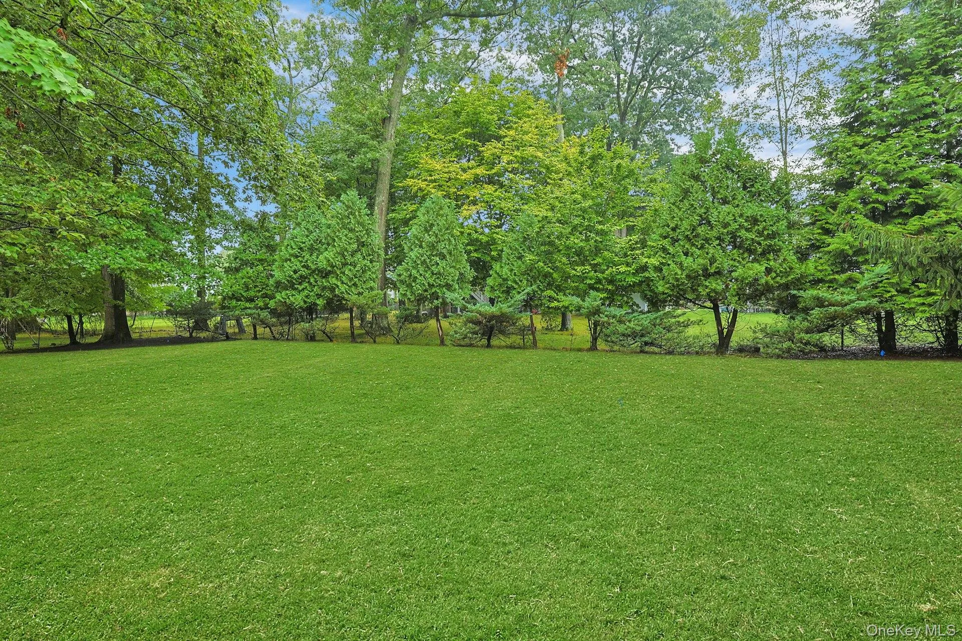 38 York Drive, Clarkstown, NY, 4 Bedrooms Bedrooms, 7 Rooms Rooms,2 BathroomsBathrooms,Residential,For Rent,York,0,1038511 38 York Drive, Clarkstown, NY, 4 Bedrooms Bedrooms, 7 Rooms Rooms,2 BathroomsBathrooms,Residential,For Rent,York,0,1038511