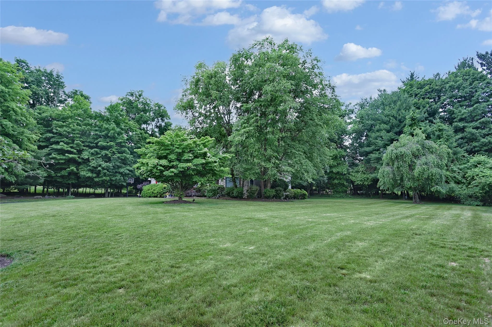 7 Birdie Drive, Ramapo, NY, 5 Bedrooms Bedrooms, 11 Rooms Rooms,3 BathroomsBathrooms,Residential,For Rent,Birdie,0,1038524 7 Birdie Drive, Ramapo, NY, 5 Bedrooms Bedrooms, 11 Rooms Rooms,3 BathroomsBathrooms,Residential,For Rent,Birdie,0,1038524