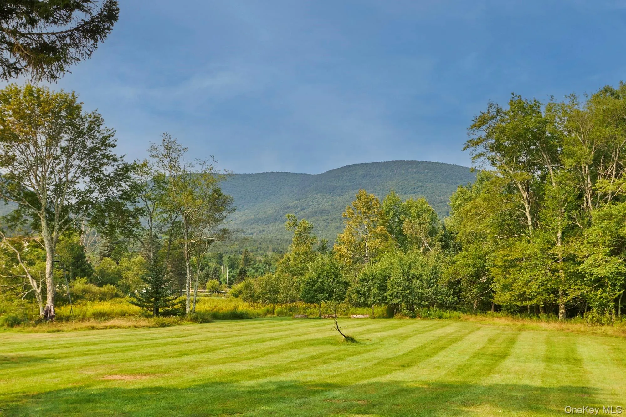 1658 Platte Clove Road, Hunter, NY, 4 Bedrooms Bedrooms, 10 Rooms Rooms,3 BathroomsBathrooms,Residential,For Rent,Platte Clove,0,1038546 1658 Platte Clove Road, Hunter, NY, 4 Bedrooms Bedrooms, 10 Rooms Rooms,3 BathroomsBathrooms,Residential,For Rent,Platte Clove,0,1038546