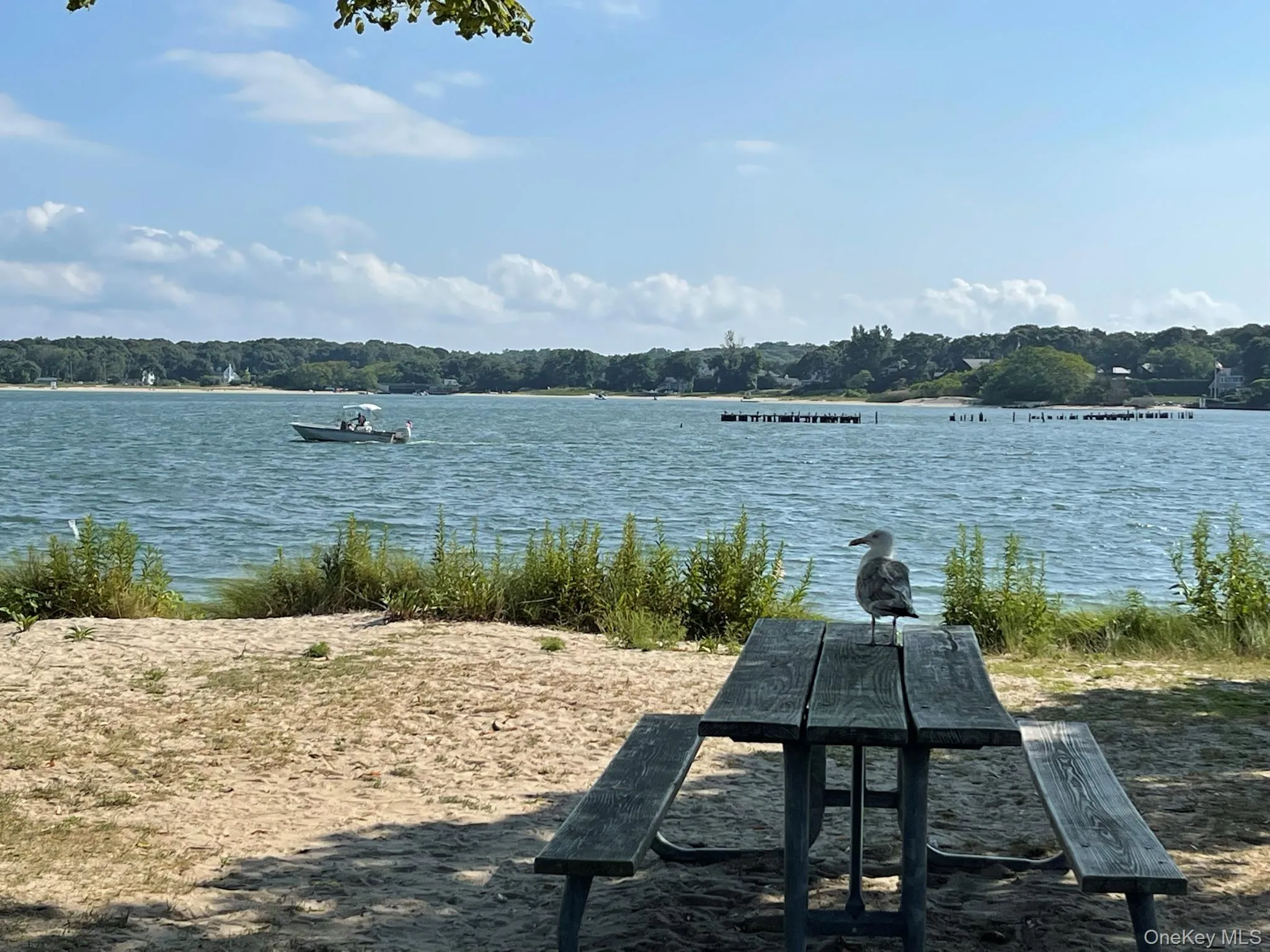 5650 Bayview Road, Southold, NY, 5 Bedrooms Bedrooms, 8 Rooms Rooms,2 BathroomsBathrooms,Residential Lease,For Rent,Bayview,0,1038594 5650 Bayview Road, Southold, NY, 5 Bedrooms Bedrooms, 8 Rooms Rooms,2 BathroomsBathrooms,Residential Lease,For Rent,Bayview,0,1038594