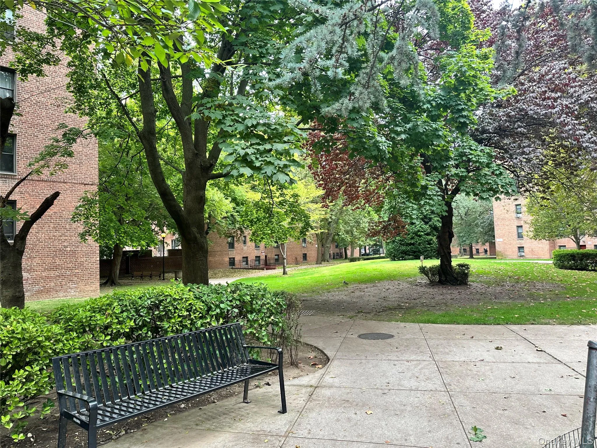 150-25 72 Road, New York, NY, 22 Bedrooms Bedrooms, 5 Rooms Rooms,1 BathroomBathrooms,Residential,For Rent,72,0,1038603 150-25 72 Road, New York, NY, 22 Bedrooms Bedrooms, 5 Rooms Rooms,1 BathroomBathrooms,Residential,For Rent,72,0,1038603