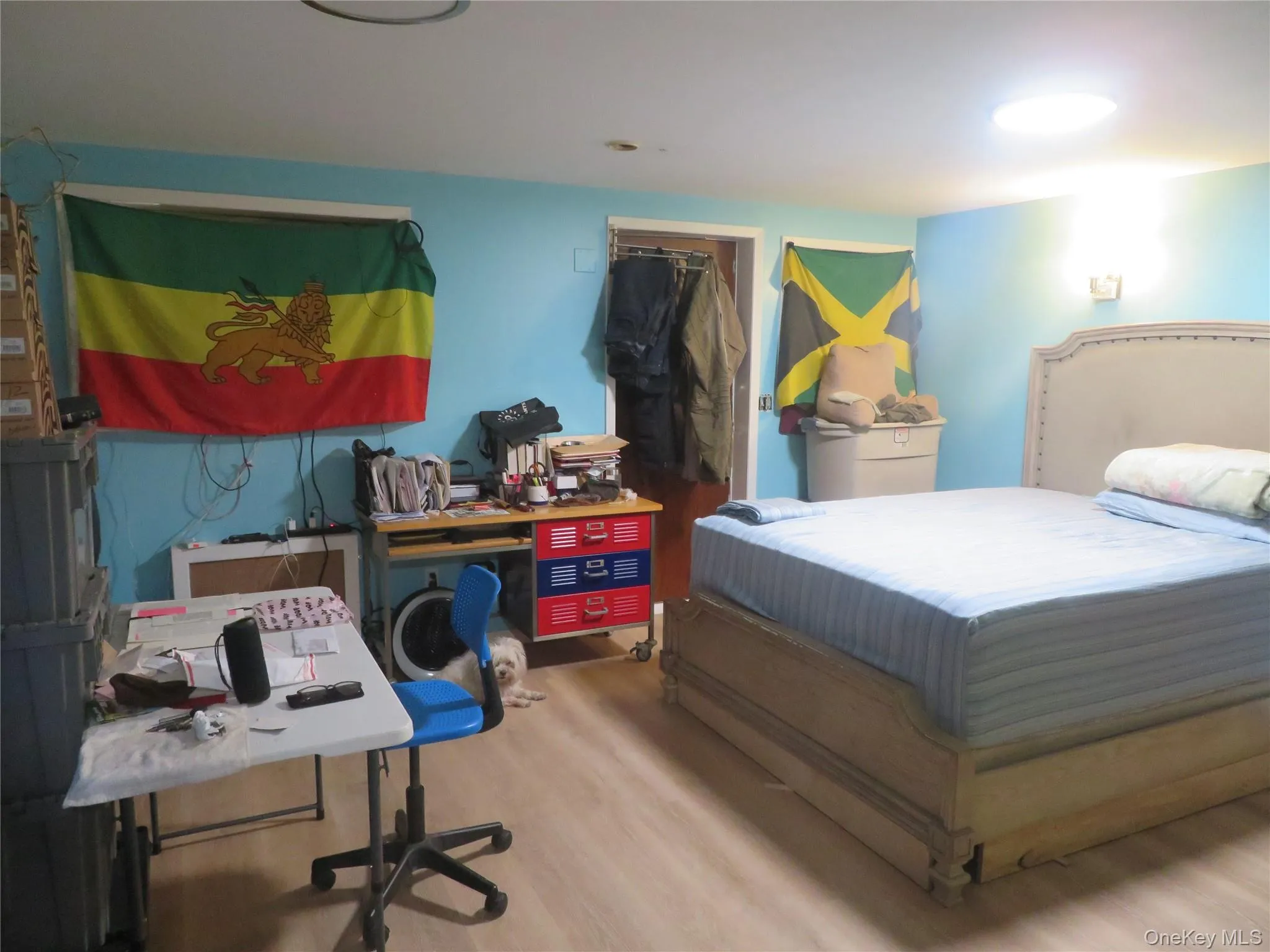 5714 Avenue L, New York, NY, 3 Bedrooms Bedrooms, 7 Rooms Rooms,2 BathroomsBathrooms,Residential,For Rent,Avenue L,0,1038605 5714 Avenue L, New York, NY, 3 Bedrooms Bedrooms, 7 Rooms Rooms,2 BathroomsBathrooms,Residential,For Rent,Avenue L,0,1038605