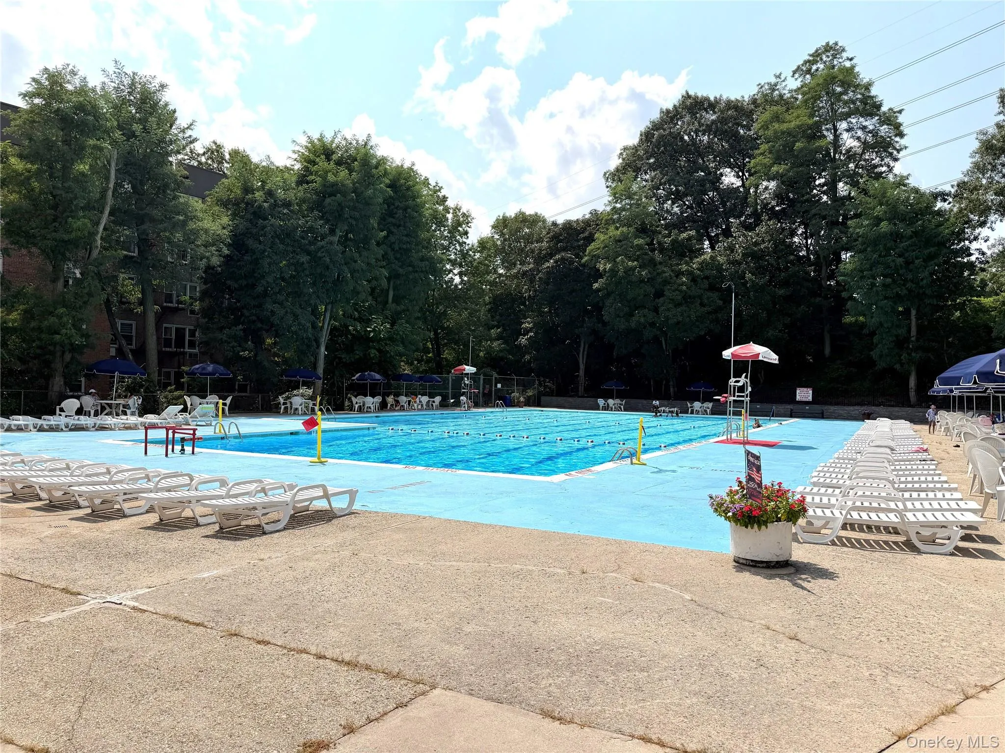 Community Pool Community Pool