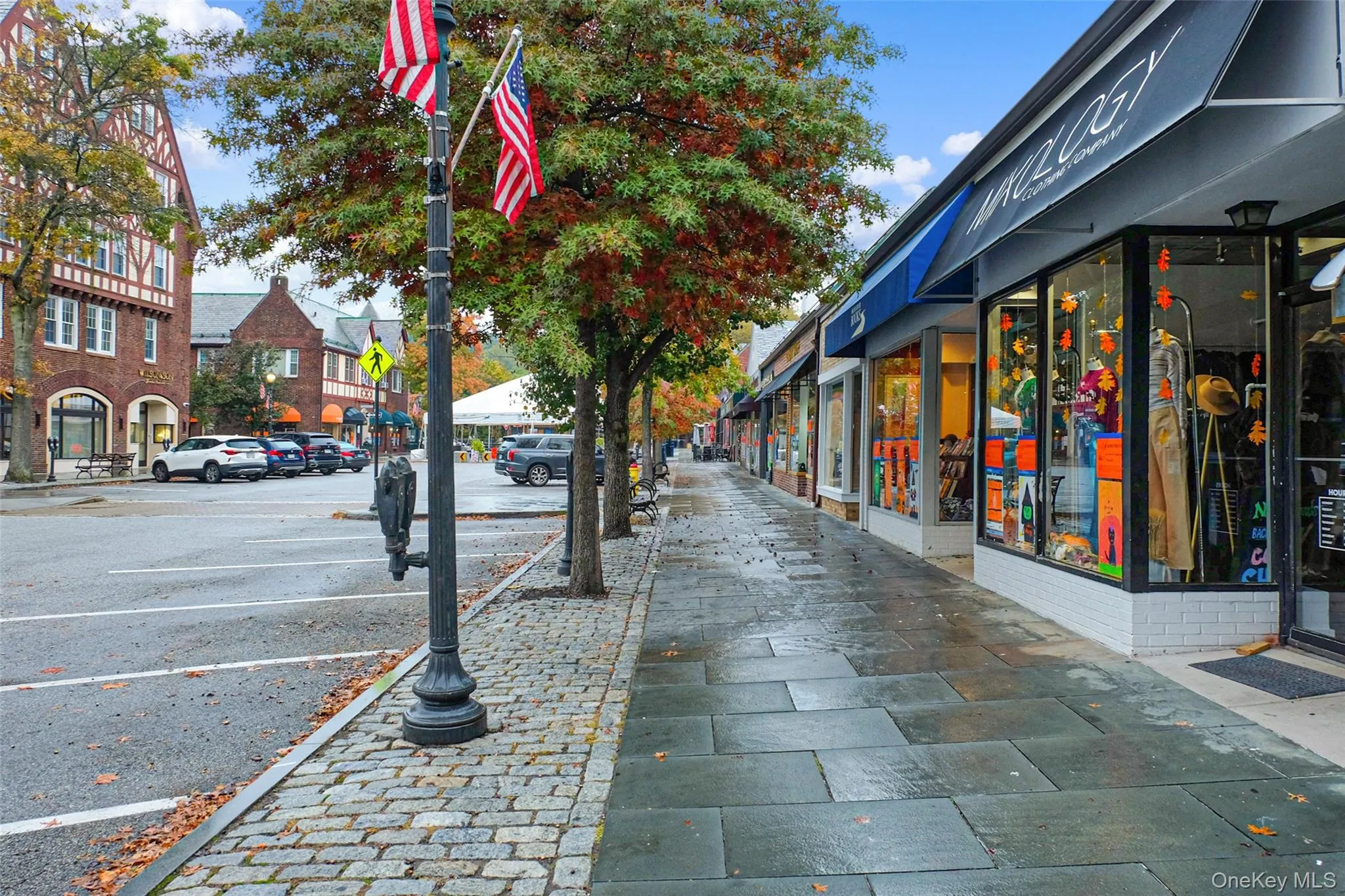 113 Brambach Road, Scarsdale, NY, 3 Bedrooms Bedrooms, 7 Rooms Rooms,2 BathroomsBathrooms,Residential,For Rent,Brambach,0,1038619 113 Brambach Road, Scarsdale, NY, 3 Bedrooms Bedrooms, 7 Rooms Rooms,2 BathroomsBathrooms,Residential,For Rent,Brambach,0,1038619
