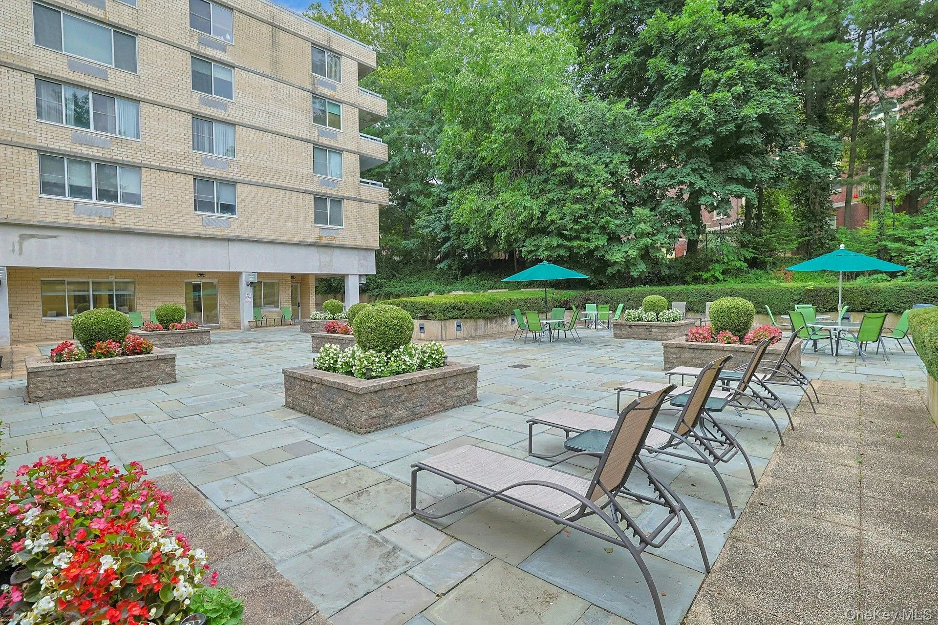 1270 North Avenue, Eastchester, NY, 1 Bedroom Bedrooms, 4 Rooms Rooms,1 BathroomBathrooms,Residential,For Rent,North,0,1038628 1270 North Avenue, Eastchester, NY, 1 Bedroom Bedrooms, 4 Rooms Rooms,1 BathroomBathrooms,Residential,For Rent,North,0,1038628