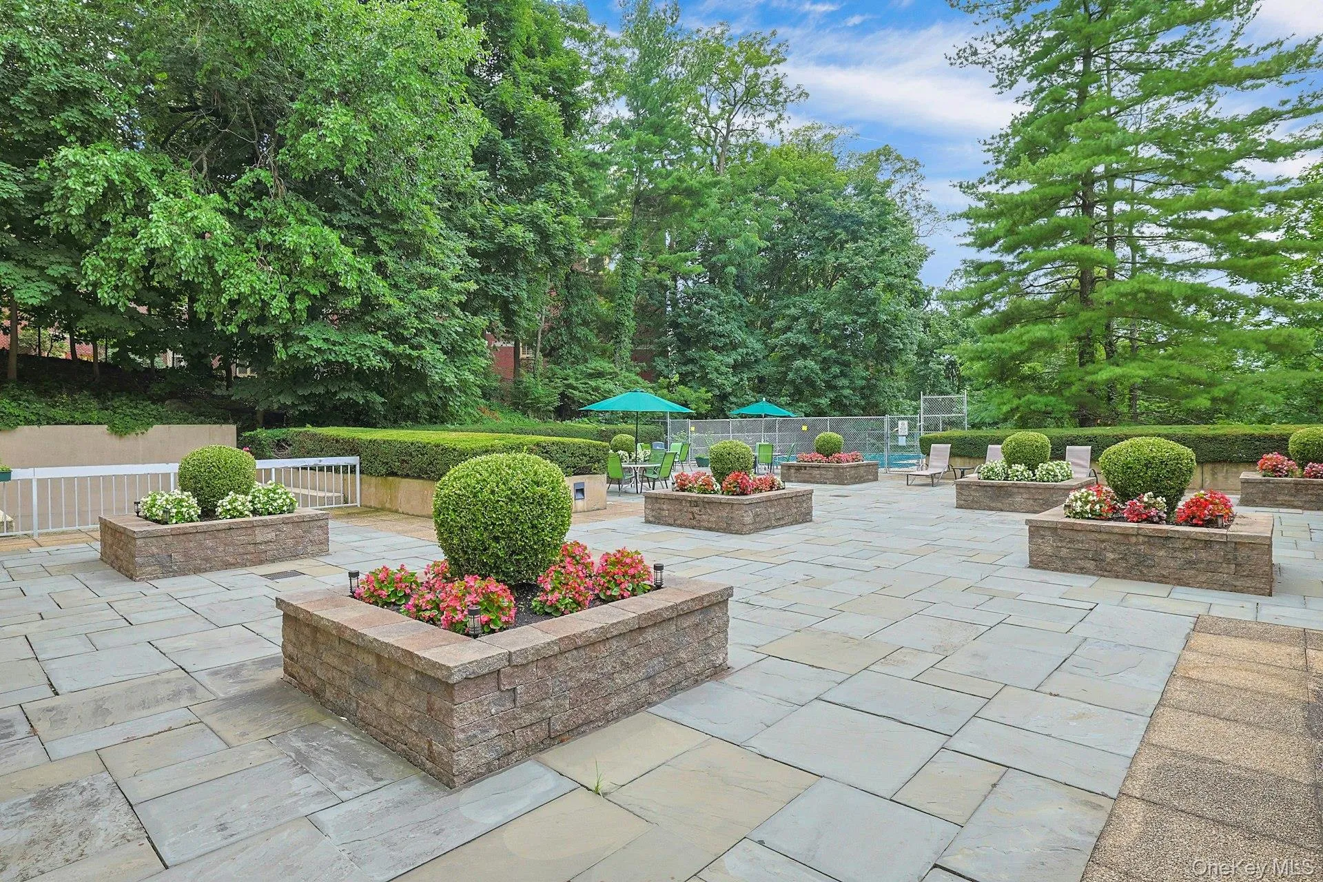 1270 North Avenue, Eastchester, NY, 1 Bedroom Bedrooms, 4 Rooms Rooms,1 BathroomBathrooms,Residential,For Rent,North,0,1038628 1270 North Avenue, Eastchester, NY, 1 Bedroom Bedrooms, 4 Rooms Rooms,1 BathroomBathrooms,Residential,For Rent,North,0,1038628