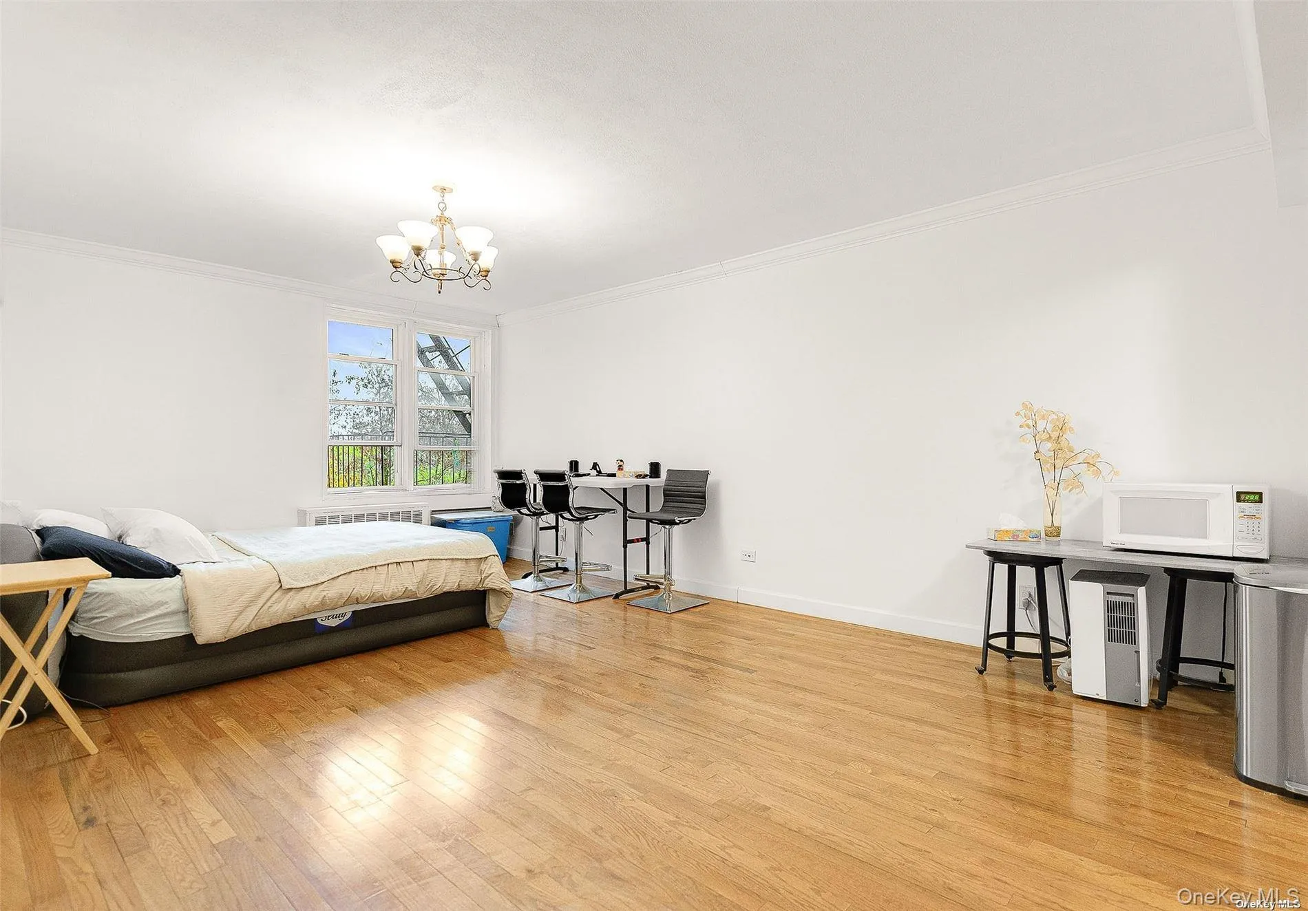 65-15 Alderton Street, New York, NY, 3 Rooms Rooms,1 BathroomBathrooms,Residential Lease,For Rent,Alderton,0,1038635 65-15 Alderton Street, New York, NY, 3 Rooms Rooms,1 BathroomBathrooms,Residential Lease,For Rent,Alderton,0,1038635
