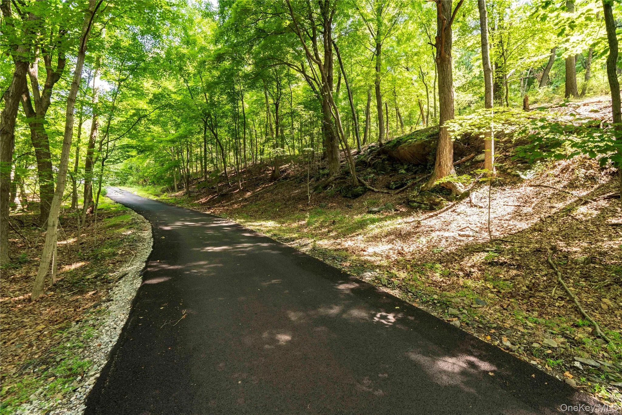 Newly blacktopped Drive through the trees - so pretty Newly blacktopped Drive through the trees - so pretty