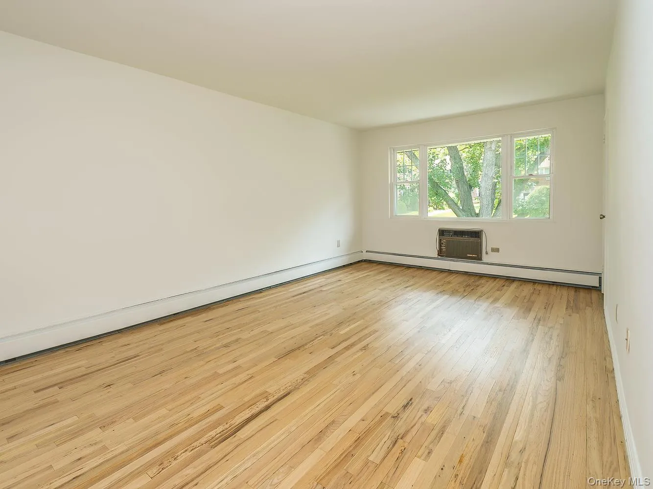 14U Madison Park Gardens, North Hempstead, NY, 1 Bedroom Bedrooms, 3 Rooms Rooms,1 BathroomBathrooms,Residential,For Rent,Madison Park Gardens,0,1038645 14U Madison Park Gardens, North Hempstead, NY, 1 Bedroom Bedrooms, 3 Rooms Rooms,1 BathroomBathrooms,Residential,For Rent,Madison Park Gardens,0,1038645