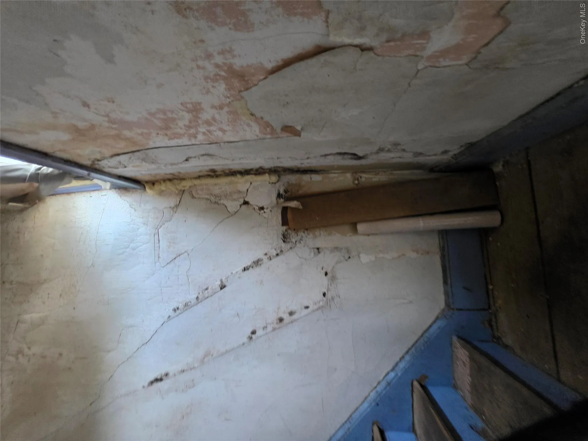 15 Pearl Street, Mount Vernon, NY, 3 Bedrooms Bedrooms, 6 Rooms Rooms,1 BathroomBathrooms,Residential,For Rent,Pearl,0,1038646 15 Pearl Street, Mount Vernon, NY, 3 Bedrooms Bedrooms, 6 Rooms Rooms,1 BathroomBathrooms,Residential,For Rent,Pearl,0,1038646