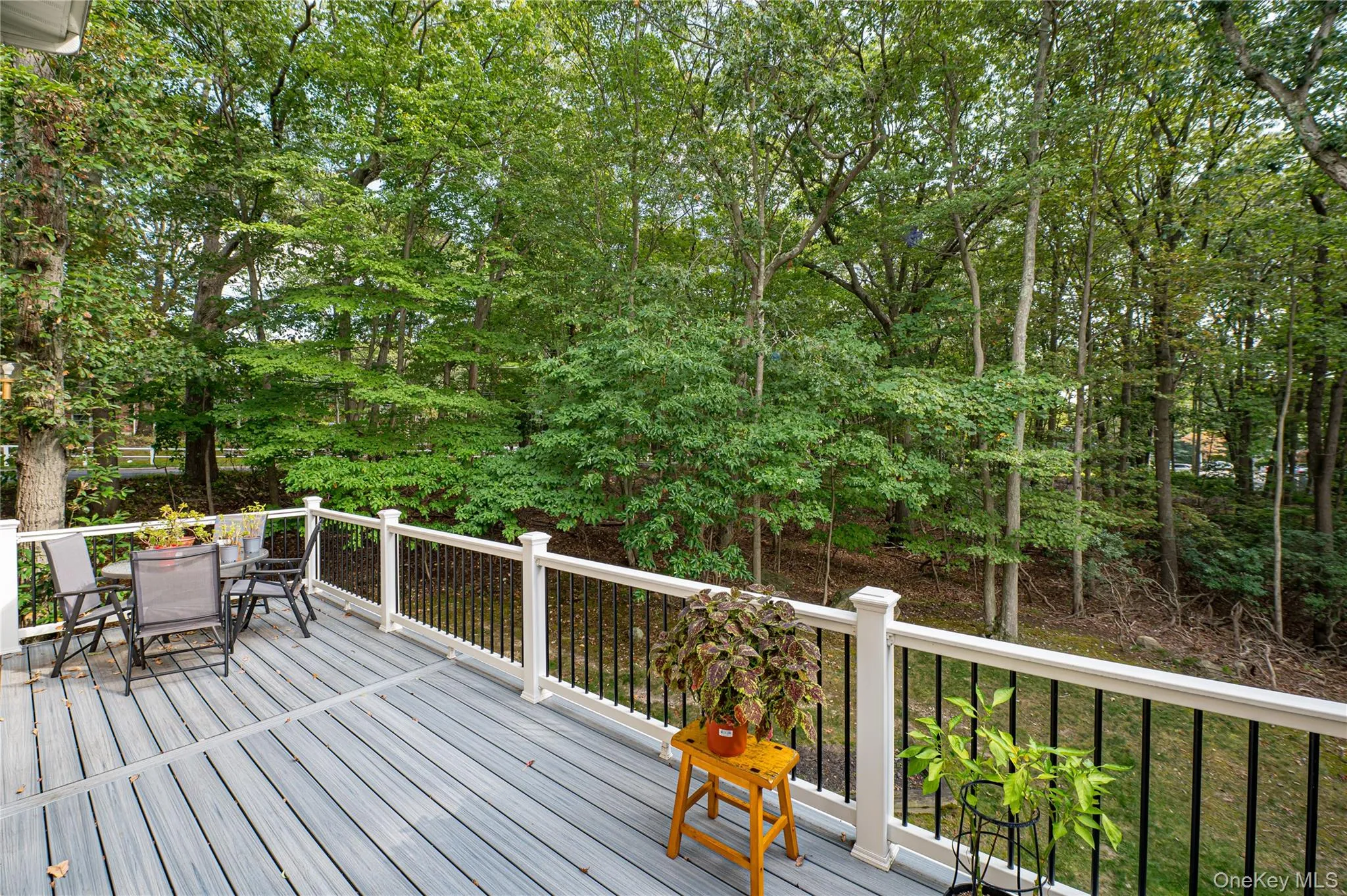 5 Princess Tree Court, Brookhaven, NY, 4 Bedrooms Bedrooms, 14 Rooms Rooms,3 BathroomsBathrooms,Residential,For Rent,Princess Tree,0,1038668 5 Princess Tree Court, Brookhaven, NY, 4 Bedrooms Bedrooms, 14 Rooms Rooms,3 BathroomsBathrooms,Residential,For Rent,Princess Tree,0,1038668