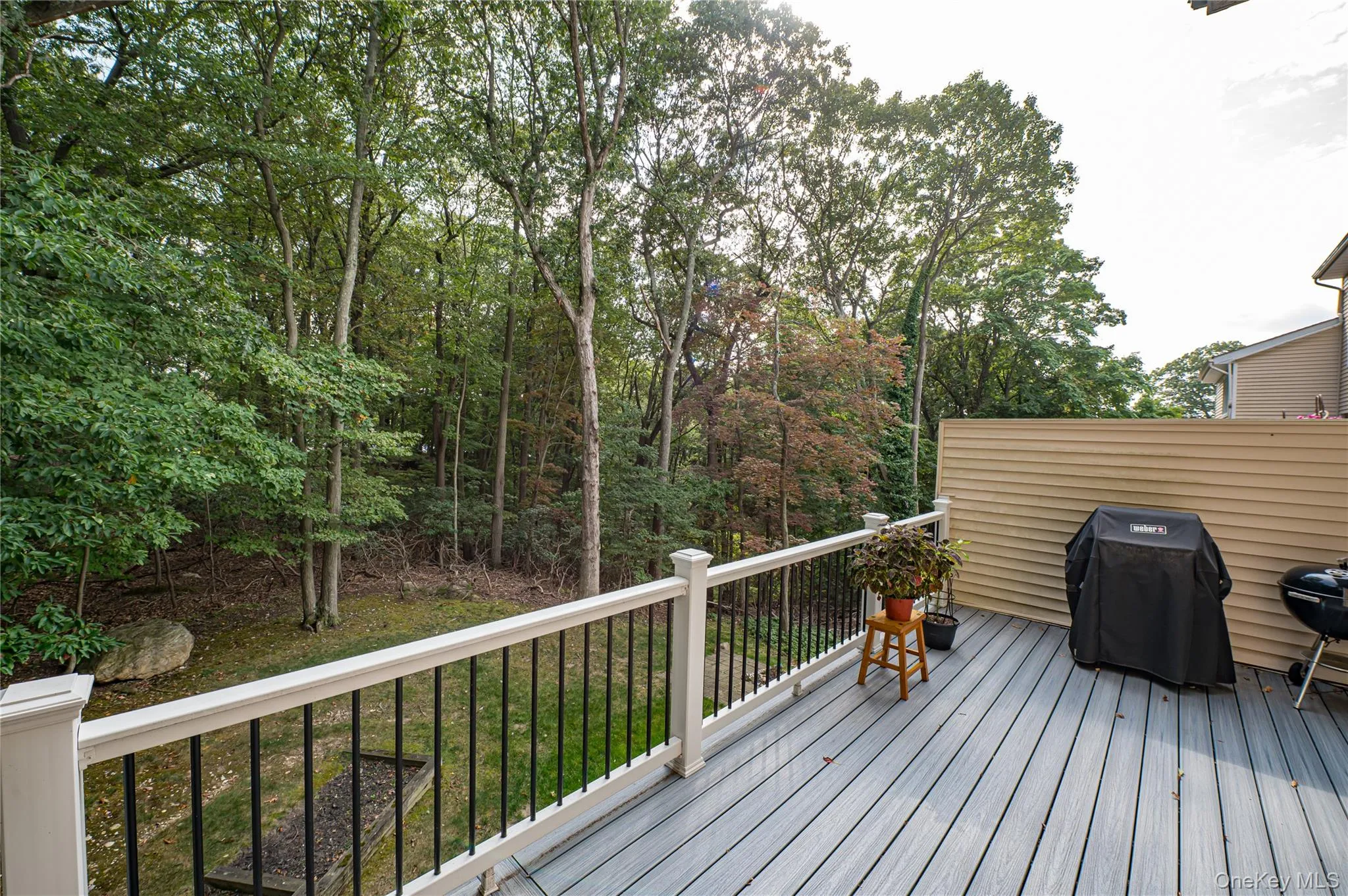 5 Princess Tree Court, Brookhaven, NY, 4 Bedrooms Bedrooms, 14 Rooms Rooms,3 BathroomsBathrooms,Residential,For Rent,Princess Tree,0,1038668 5 Princess Tree Court, Brookhaven, NY, 4 Bedrooms Bedrooms, 14 Rooms Rooms,3 BathroomsBathrooms,Residential,For Rent,Princess Tree,0,1038668