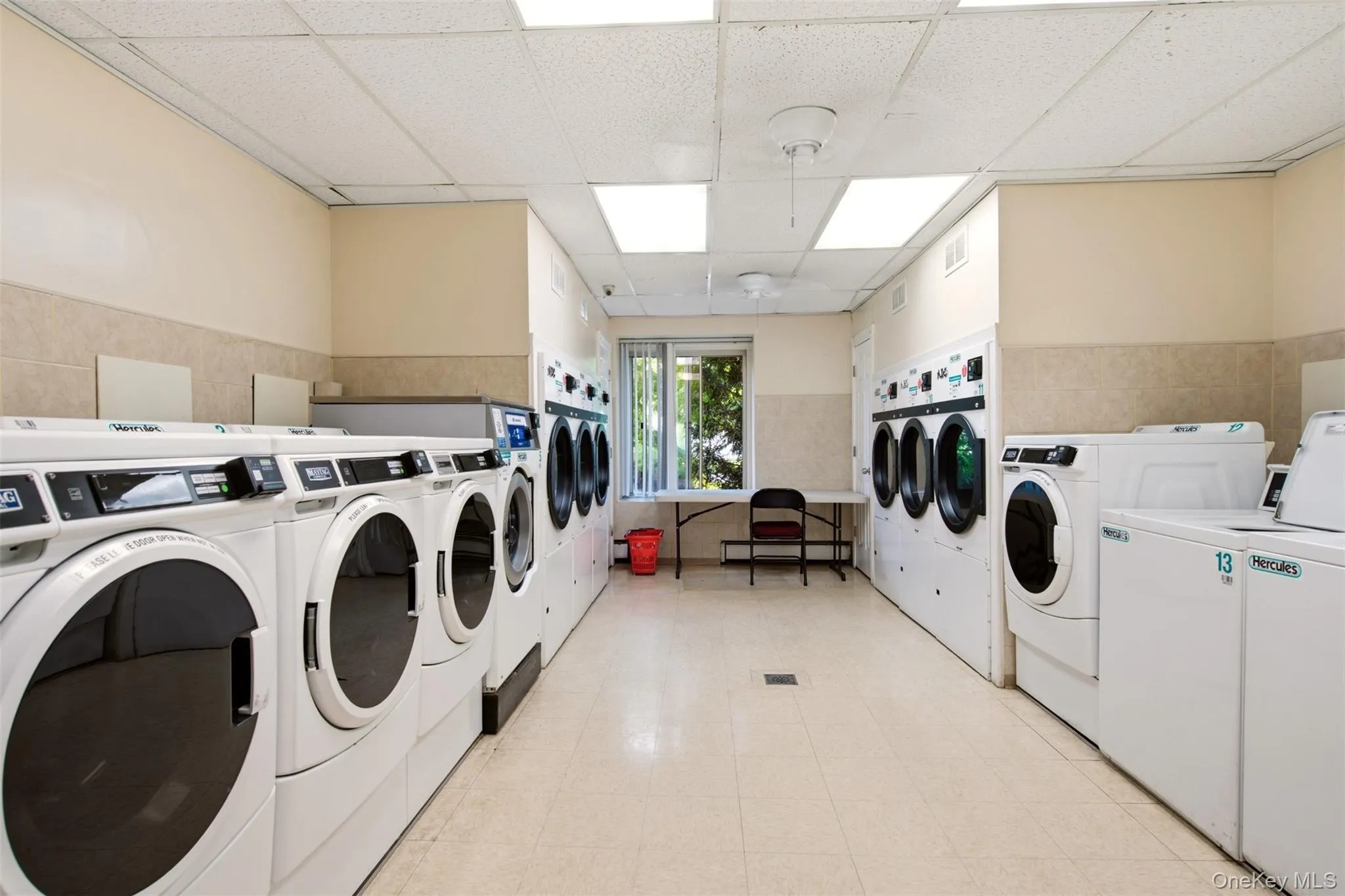 135 Post Avenue, North Hempstead, NY, 1 Bedroom Bedrooms, 4 Rooms Rooms,1 BathroomBathrooms,Residential,For Rent,Post,0,1038701 135 Post Avenue, North Hempstead, NY, 1 Bedroom Bedrooms, 4 Rooms Rooms,1 BathroomBathrooms,Residential,For Rent,Post,0,1038701