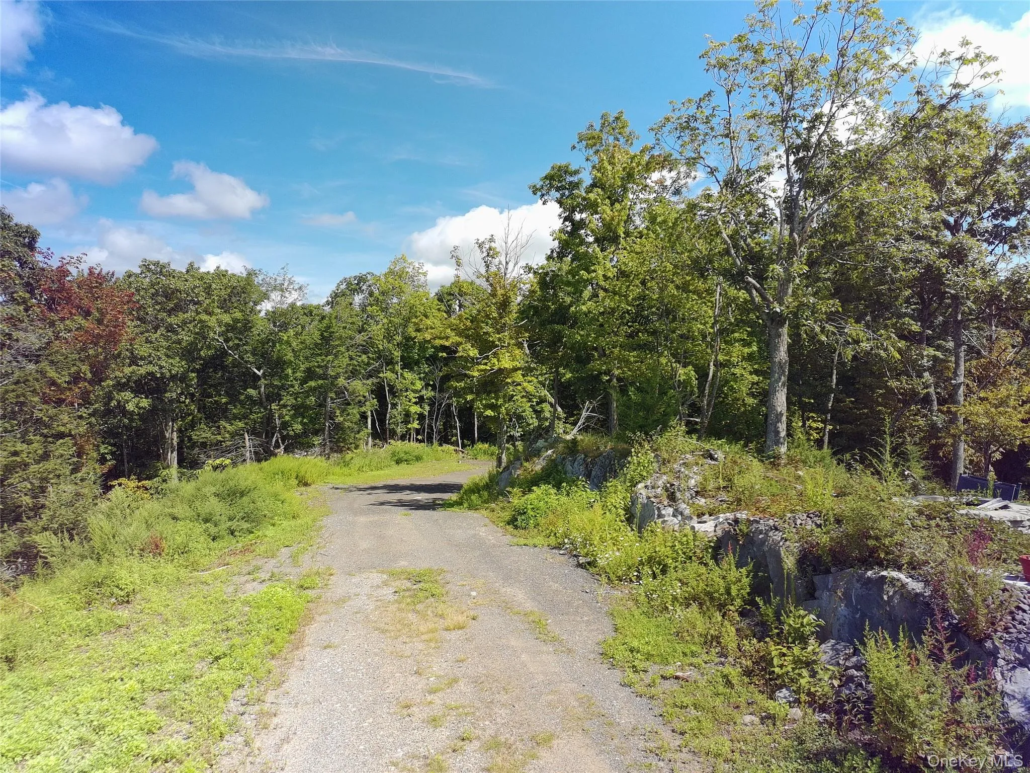 229 Mount Zion Road, Marlboro, NY, ,Land,For Rent,Mount Zion,0,1038702 229 Mount Zion Road, Marlboro, NY, ,Land,For Rent,Mount Zion,0,1038702