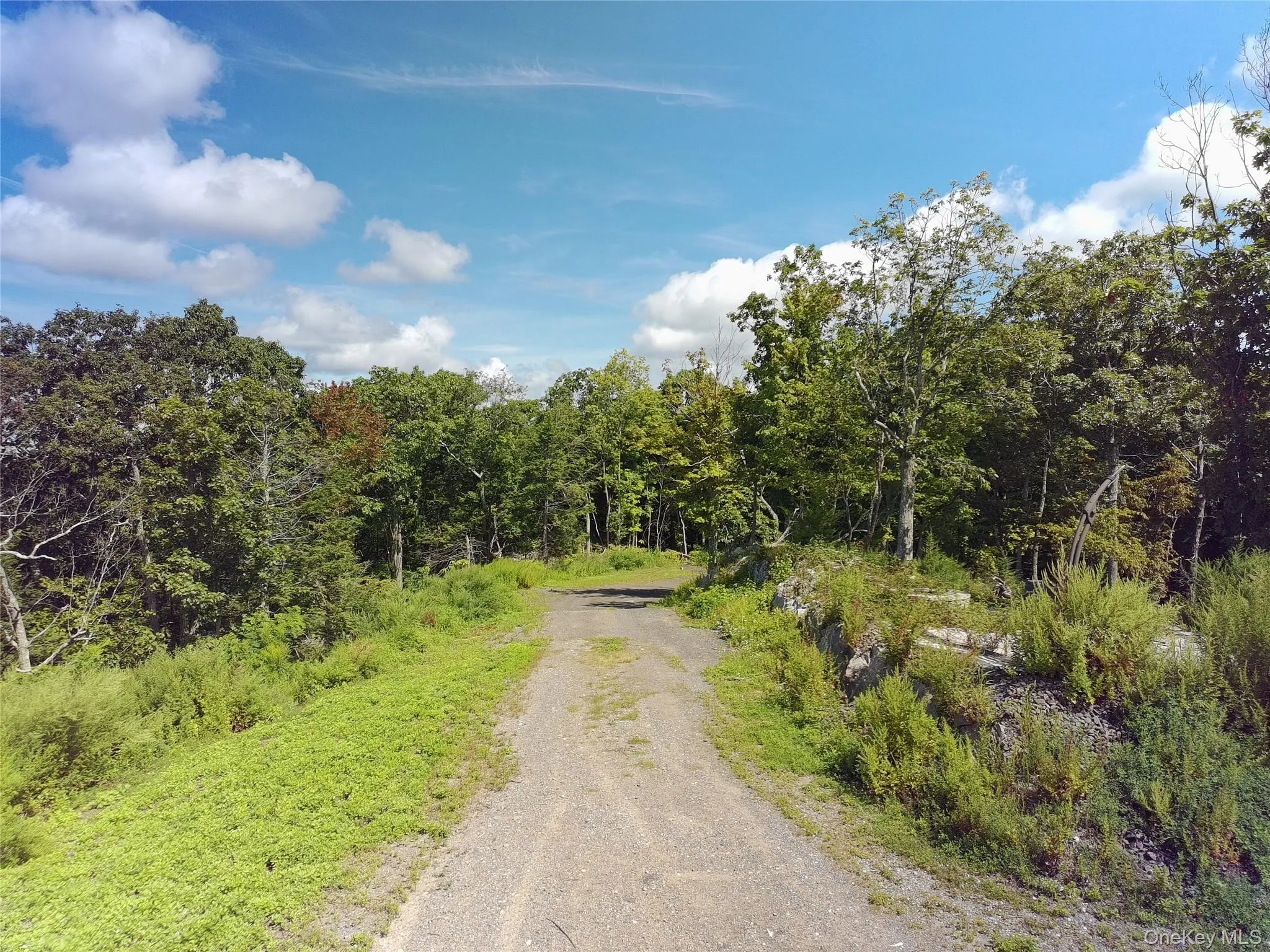 229 Mount Zion Road, Marlboro, NY, ,Land,For Rent,Mount Zion,0,1038702 229 Mount Zion Road, Marlboro, NY, ,Land,For Rent,Mount Zion,0,1038702