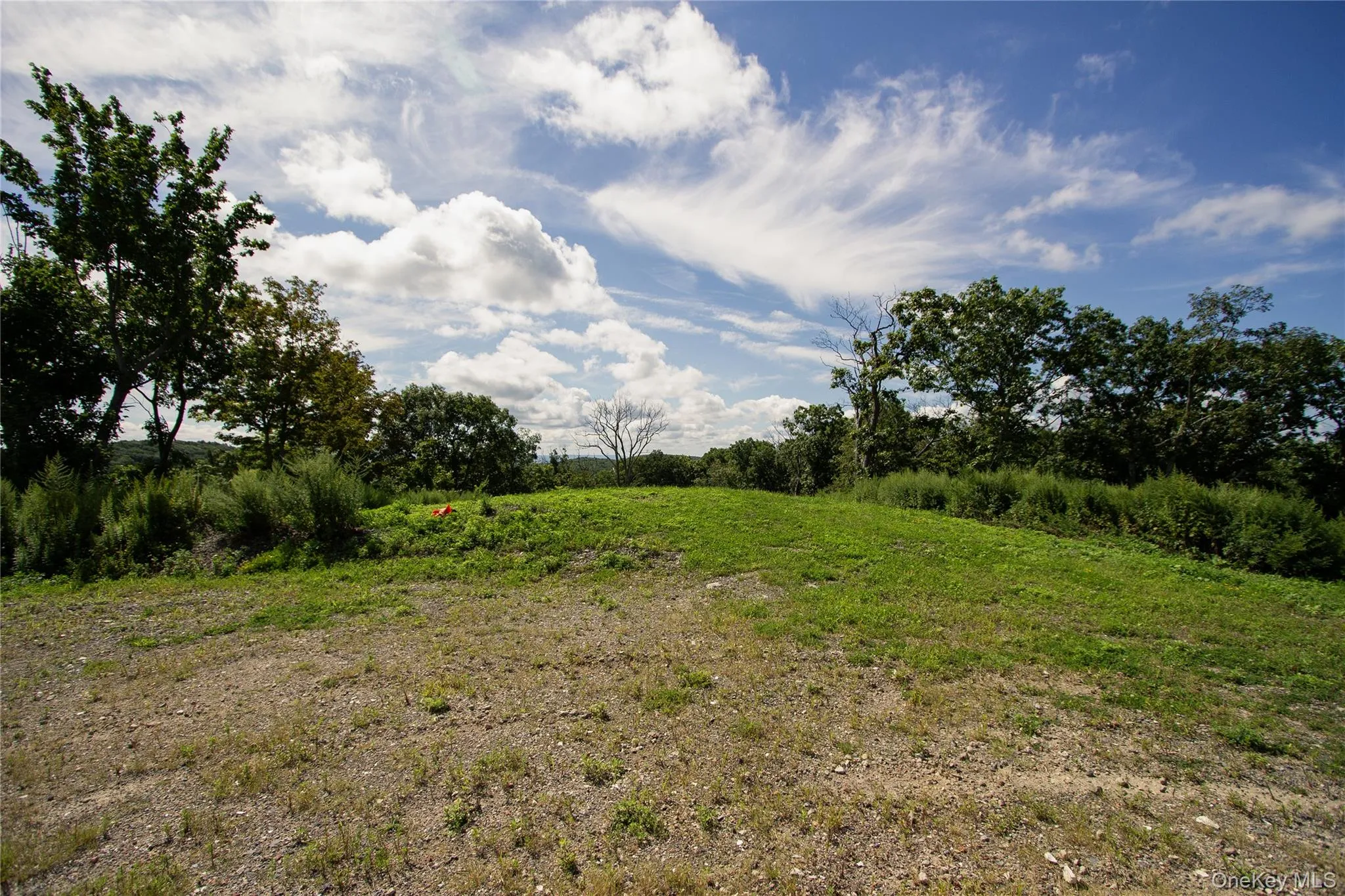 229 Mount Zion Road, Marlboro, NY, ,Land,For Rent,Mount Zion,0,1038702 229 Mount Zion Road, Marlboro, NY, ,Land,For Rent,Mount Zion,0,1038702