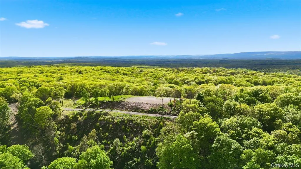 229 Mount Zion Road, Marlboro, NY, ,Land,For Rent,Mount Zion,0,1038702 229 Mount Zion Road, Marlboro, NY, ,Land,For Rent,Mount Zion,0,1038702