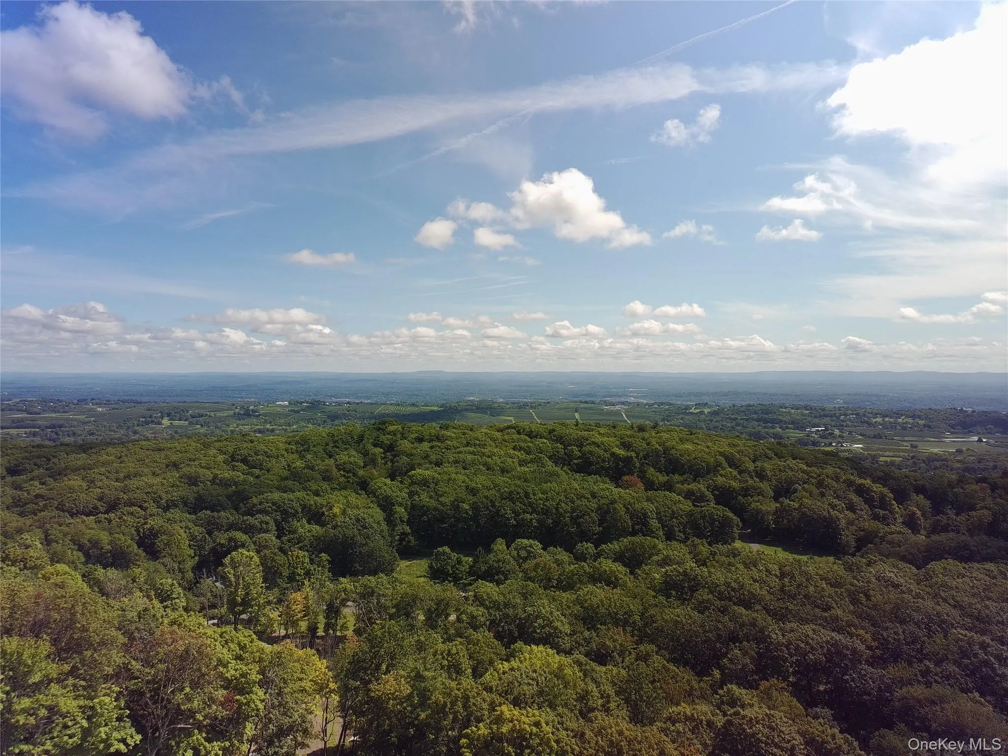 229 Mount Zion Road, Marlboro, NY, ,Land,For Rent,Mount Zion,0,1038702 229 Mount Zion Road, Marlboro, NY, ,Land,For Rent,Mount Zion,0,1038702