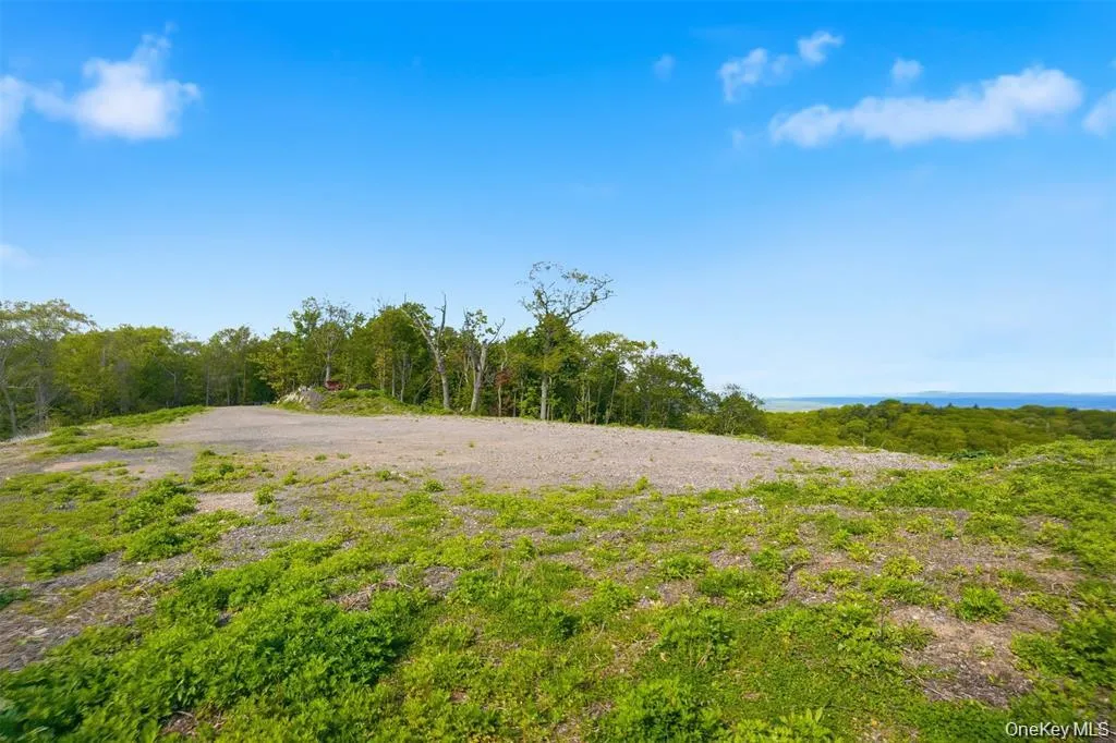 229 Mount Zion Road, Marlboro, NY, ,Land,For Rent,Mount Zion,0,1038702 229 Mount Zion Road, Marlboro, NY, ,Land,For Rent,Mount Zion,0,1038702