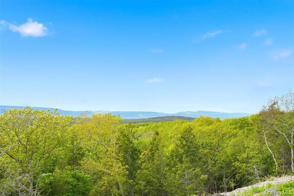229 Mount Zion Road, Marlboro, NY, ,Land,For Rent,Mount Zion,0,1038702 229 Mount Zion Road, Marlboro, NY, ,Land,For Rent,Mount Zion,0,1038702
