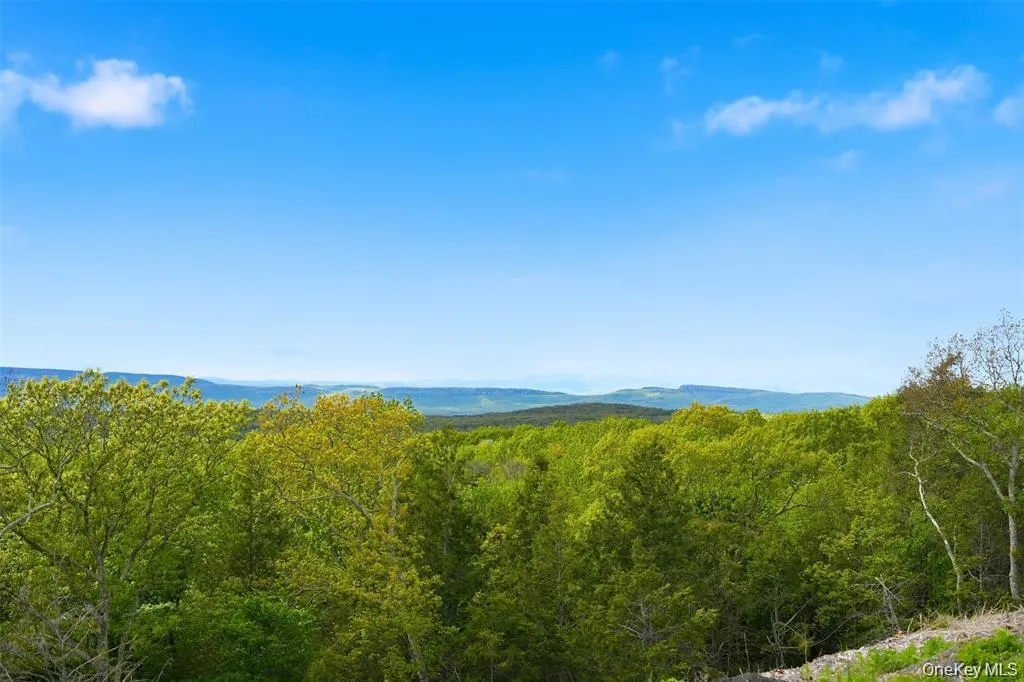 229 Mount Zion Road, Marlboro, NY, ,Land,For Rent,Mount Zion,0,1038702 229 Mount Zion Road, Marlboro, NY, ,Land,For Rent,Mount Zion,0,1038702