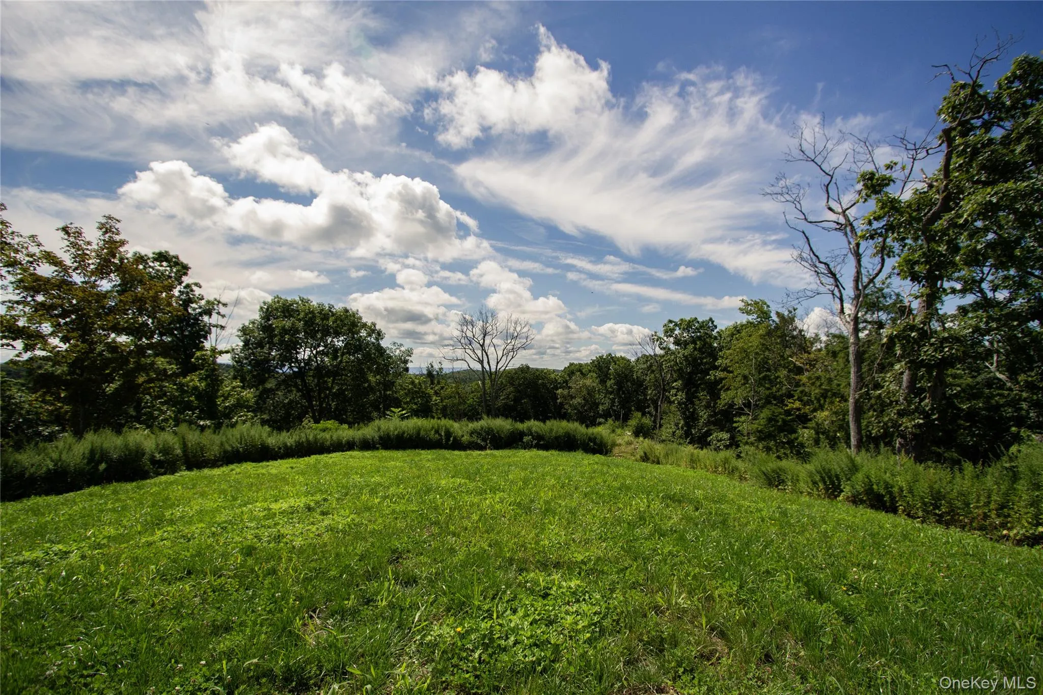 229 Mount Zion Road, Marlboro, NY, ,Land,For Rent,Mount Zion,0,1038702 229 Mount Zion Road, Marlboro, NY, ,Land,For Rent,Mount Zion,0,1038702