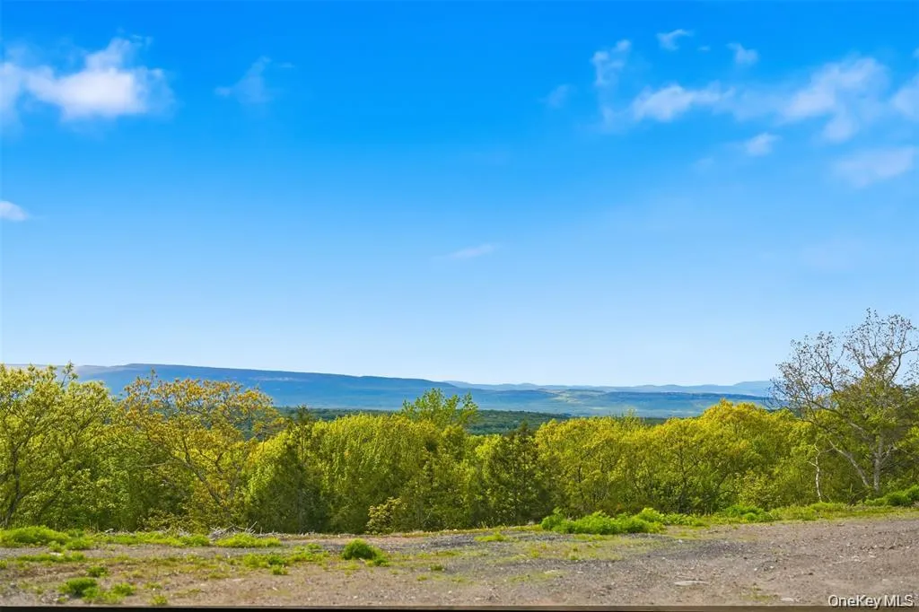 229 Mount Zion Road, Marlboro, NY, ,Land,For Rent,Mount Zion,0,1038702 229 Mount Zion Road, Marlboro, NY, ,Land,For Rent,Mount Zion,0,1038702