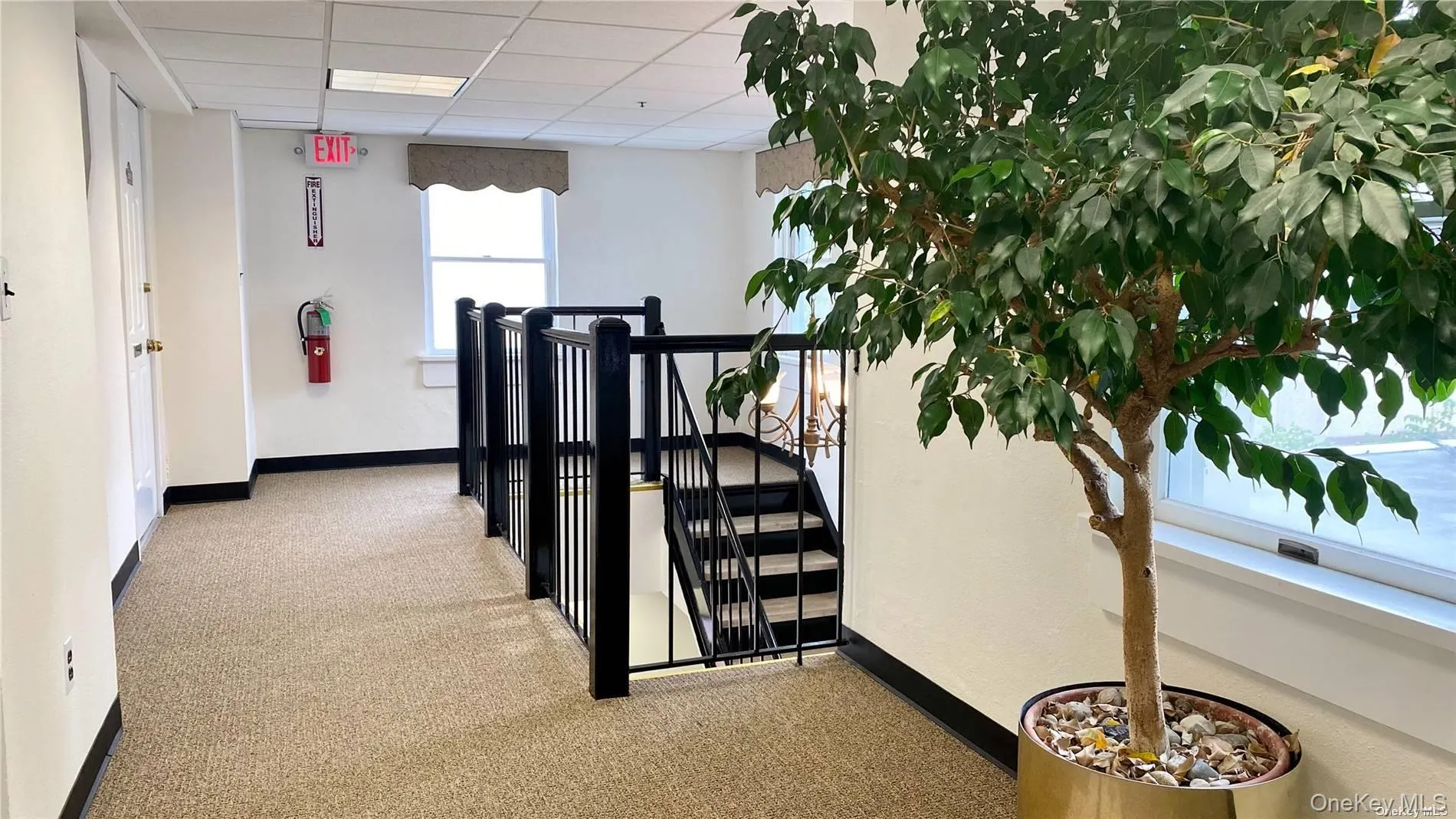 115 South Street, Oyster Bay, NY, ,Commercial Lease,For Rent,South,0,1038704 115 South Street, Oyster Bay, NY, ,Commercial Lease,For Rent,South,0,1038704