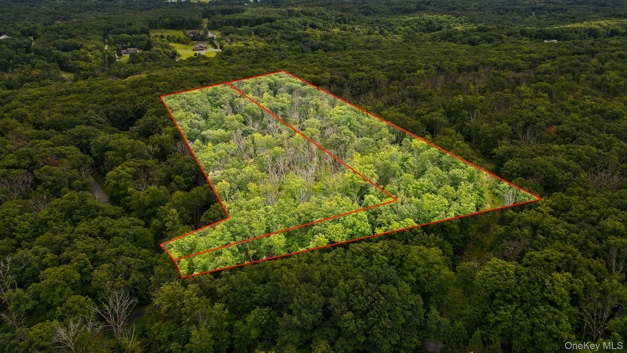 Lot 1 Pantelop Road, Mamakating, NY, 4 Bedrooms Bedrooms, 12 Rooms Rooms,2 BathroomsBathrooms,Residential,For Rent,Pantelop,0,1038721 Lot 1 Pantelop Road, Mamakating, NY, 4 Bedrooms Bedrooms, 12 Rooms Rooms,2 BathroomsBathrooms,Residential,For Rent,Pantelop,0,1038721